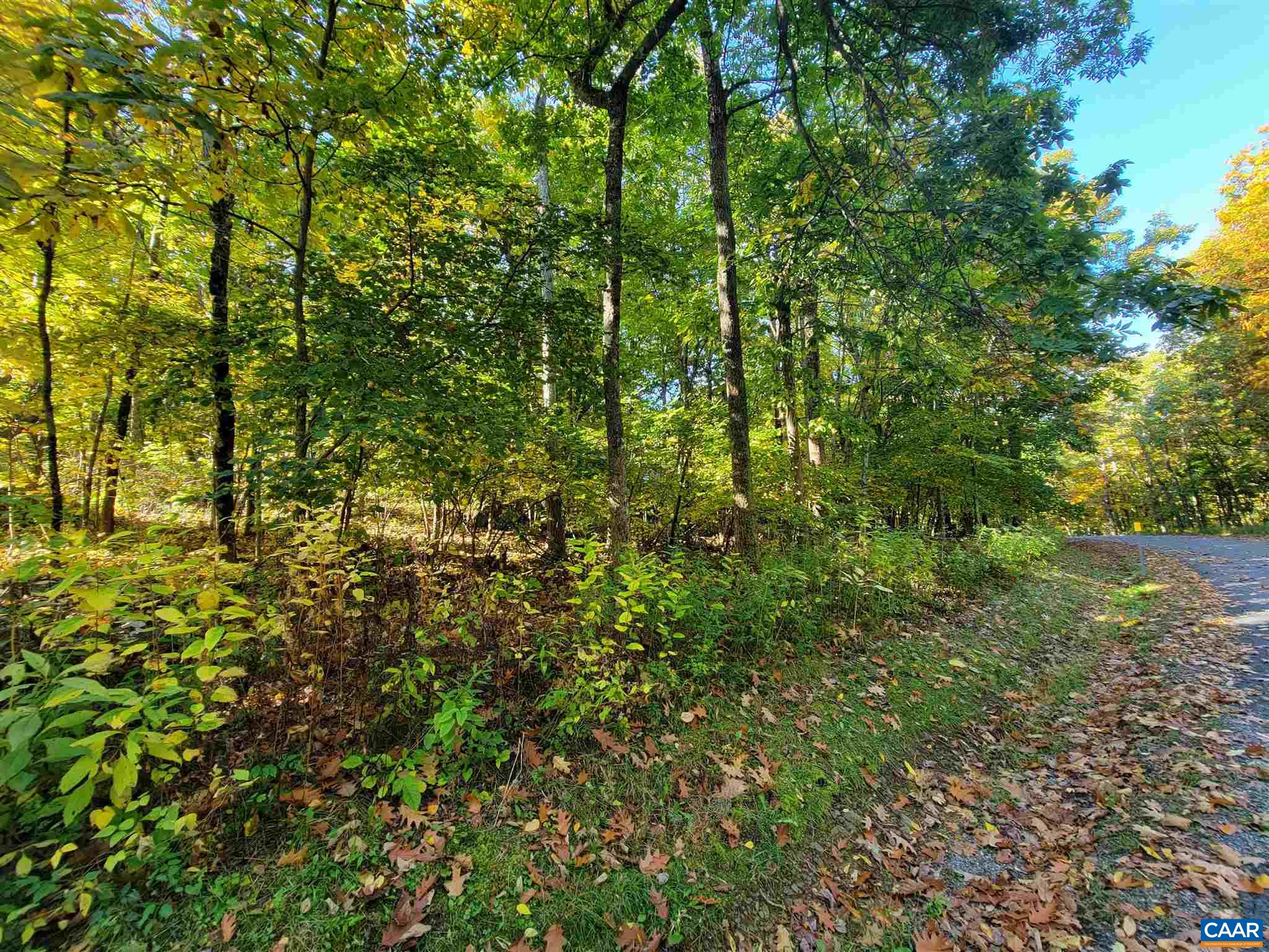 41 HICKORY SPRING RD, WINTERGREEN RESORT, Virginia 22967, ,Land,41 HICKORY SPRING RD,679178 MLS # 679178 41 HICKORY SPRING RD, WINTERGREEN RESORT, Virginia 22967, ,Land,41 HICKORY SPRING RD,679178 MLS # 679178