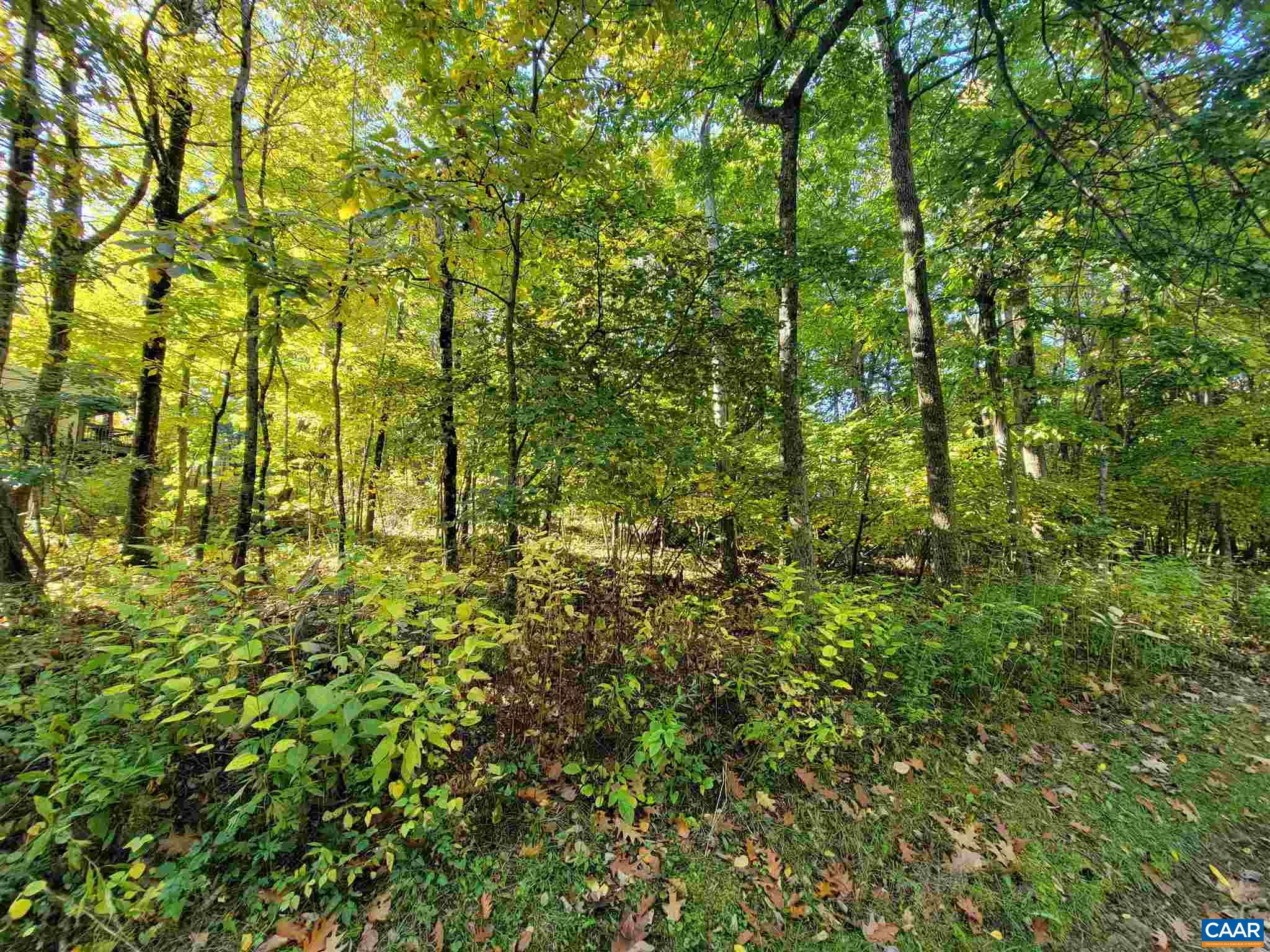 41 HICKORY SPRING RD, WINTERGREEN RESORT, Virginia 22967, ,Land,41 HICKORY SPRING RD,679178 MLS # 679178 41 HICKORY SPRING RD, WINTERGREEN RESORT, Virginia 22967, ,Land,41 HICKORY SPRING RD,679178 MLS # 679178