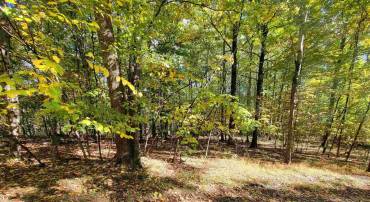 41 HICKORY SPRING RD, WINTERGREEN RESORT, Virginia 22967, ,Land,41 HICKORY SPRING RD,679178 MLS # 679178