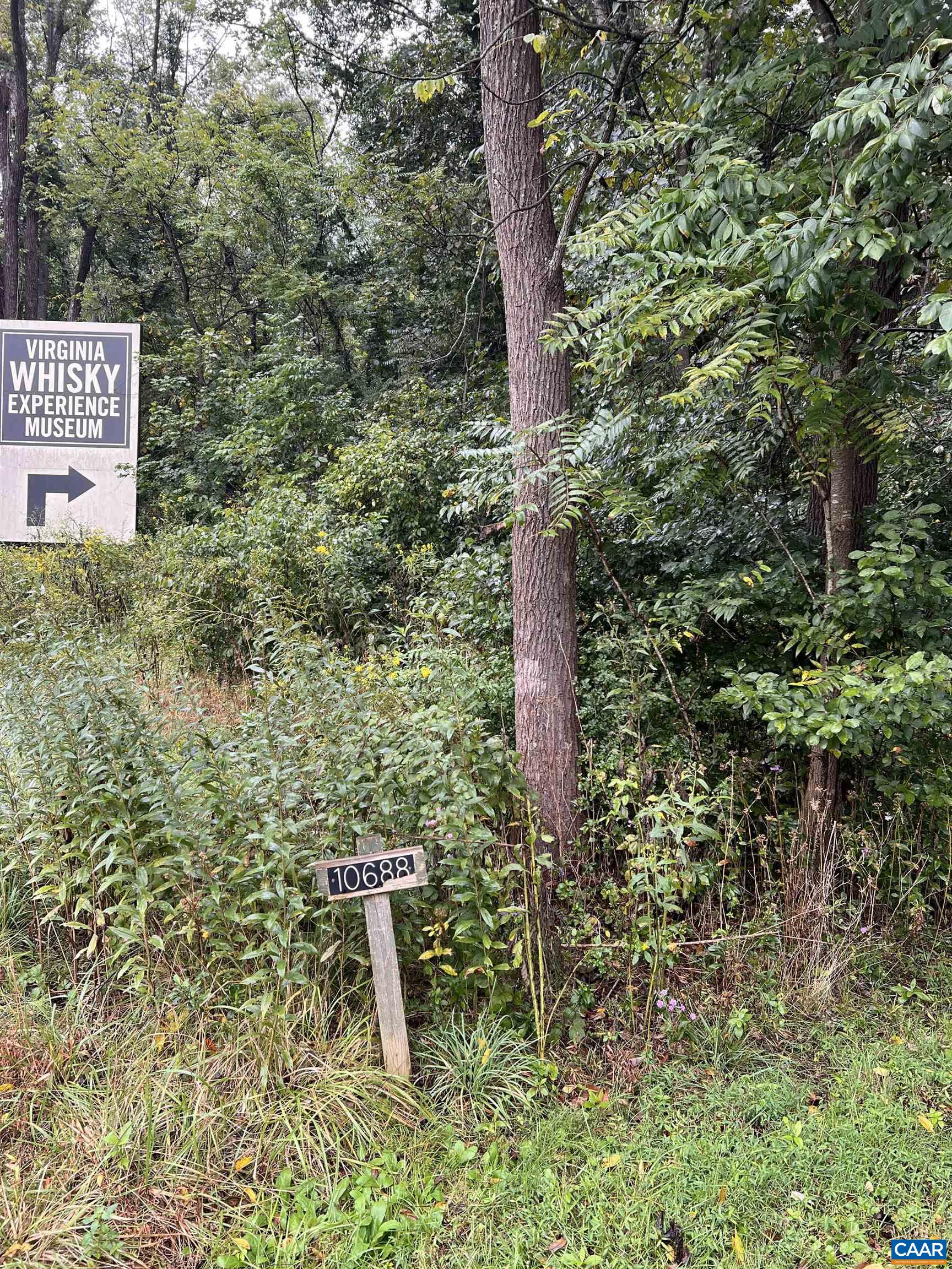 10688 THOMAS NELSON HWY, LOVINGSTON, Virginia 22949, ,Land,10688 THOMAS NELSON HWY,682330 MLS # 682330 10688 THOMAS NELSON HWY, LOVINGSTON, Virginia 22949, ,Land,10688 THOMAS NELSON HWY,682330 MLS # 682330