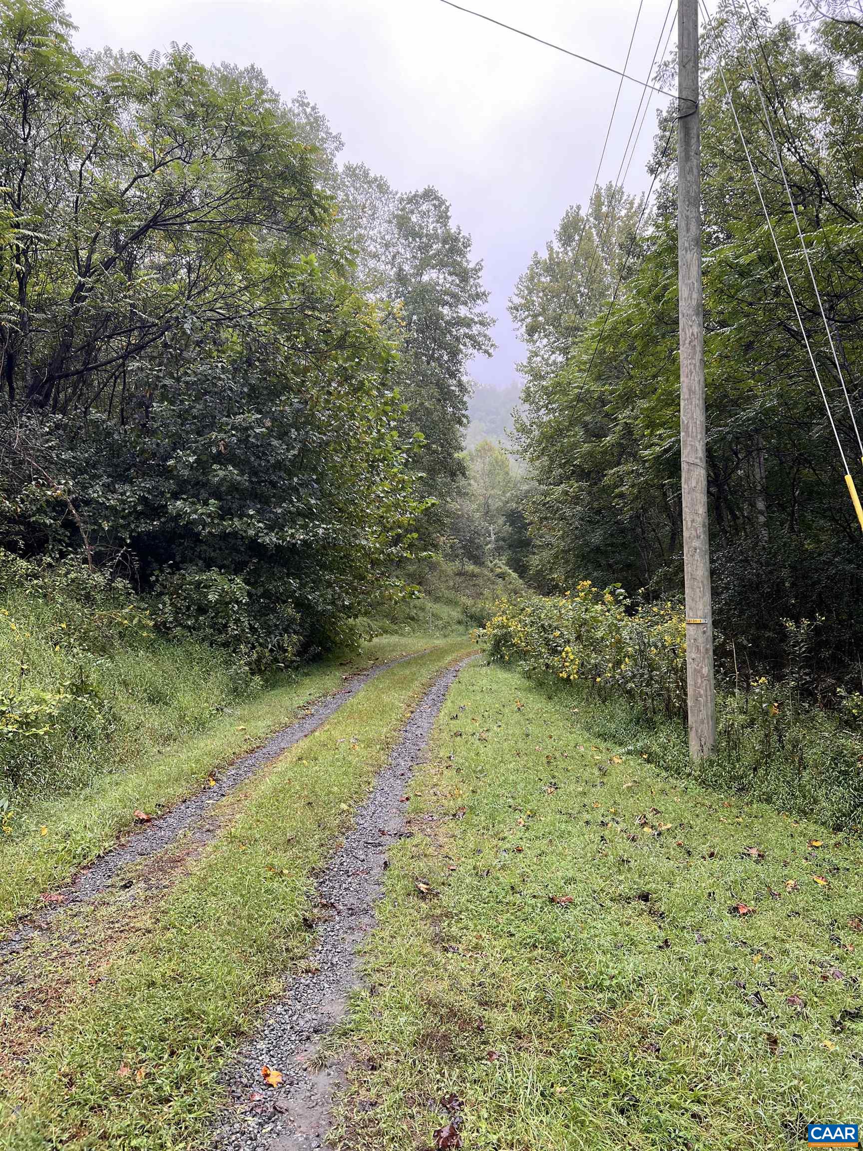 10688 THOMAS NELSON HWY, LOVINGSTON, Virginia 22949, ,Land,10688 THOMAS NELSON HWY,682330 MLS # 682330 10688 THOMAS NELSON HWY, LOVINGSTON, Virginia 22949, ,Land,10688 THOMAS NELSON HWY,682330 MLS # 682330