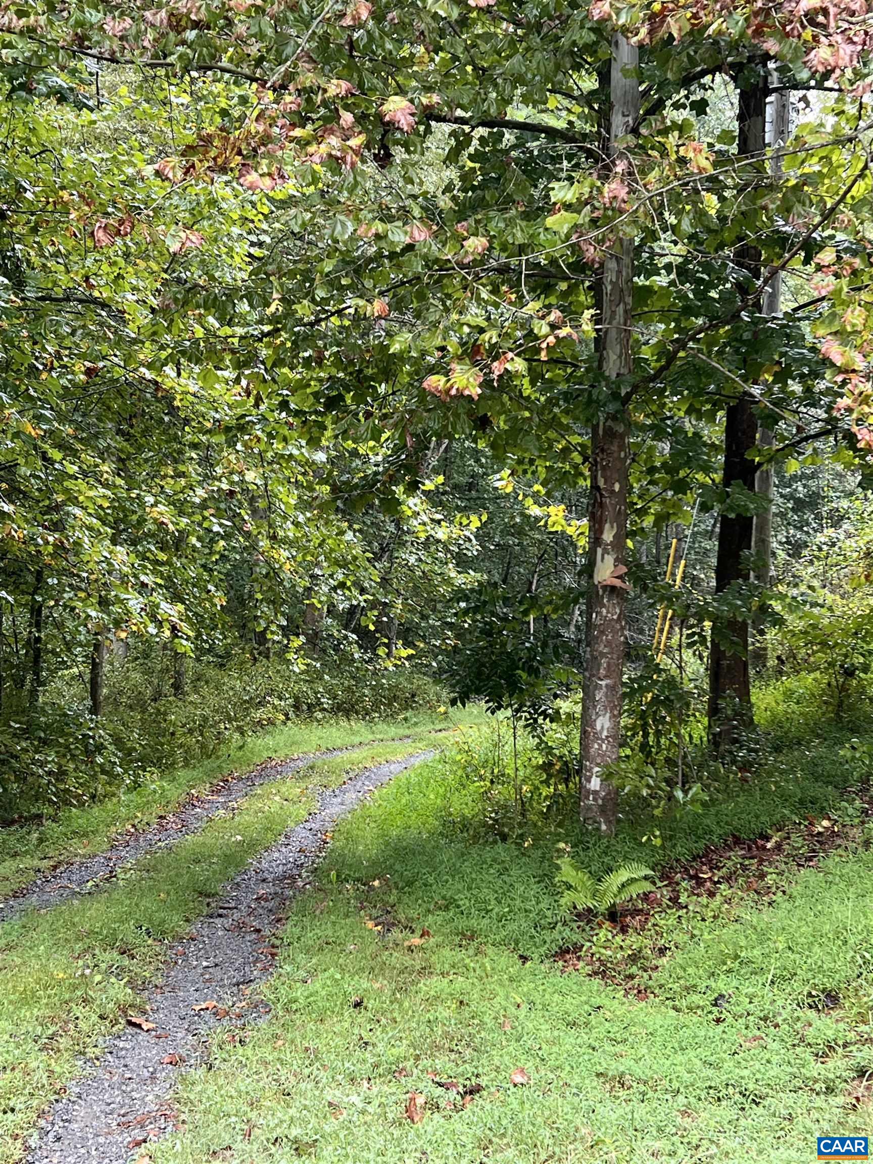 10688 THOMAS NELSON HWY, LOVINGSTON, Virginia 22949, ,Land,10688 THOMAS NELSON HWY,682330 MLS # 682330 10688 THOMAS NELSON HWY, LOVINGSTON, Virginia 22949, ,Land,10688 THOMAS NELSON HWY,682330 MLS # 682330