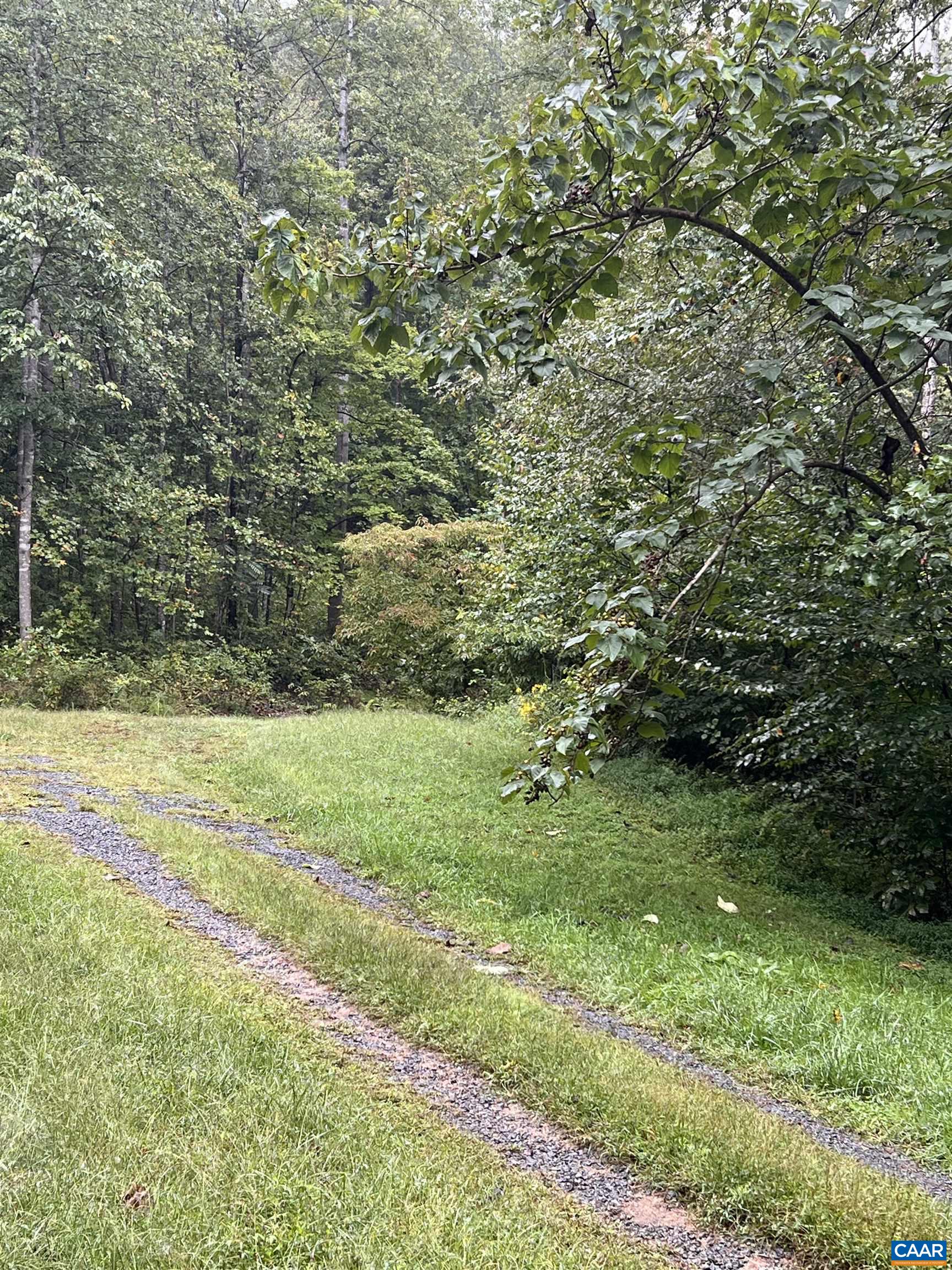 10688 THOMAS NELSON HWY, LOVINGSTON, Virginia 22949, ,Land,10688 THOMAS NELSON HWY,682330 MLS # 682330 10688 THOMAS NELSON HWY, LOVINGSTON, Virginia 22949, ,Land,10688 THOMAS NELSON HWY,682330 MLS # 682330