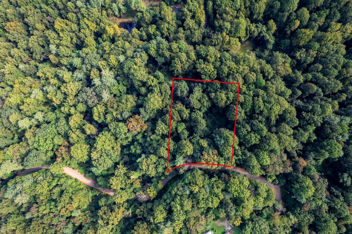 0 WHISPERING LN, STANLEY, Virginia 22851, ,Land,0 WHISPERING LN,682333 MLS # 682333 0 WHISPERING LN, STANLEY, Virginia 22851, ,Land,0 WHISPERING LN,682333 MLS # 682333