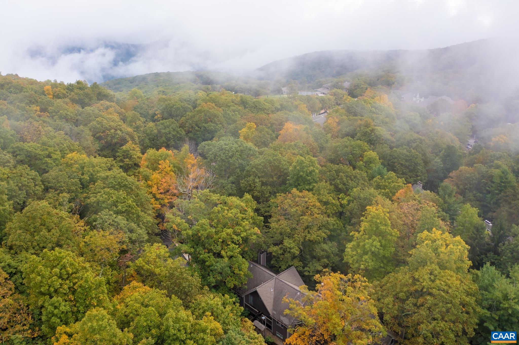 479 THREE RIDGES CONDOS, WINTERGREEN RESORT, Virginia 22967, 2 Bedrooms Bedrooms, ,2 BathroomsBathrooms,Residential,479 THREE RIDGES CONDOS,682327 MLS # 682327