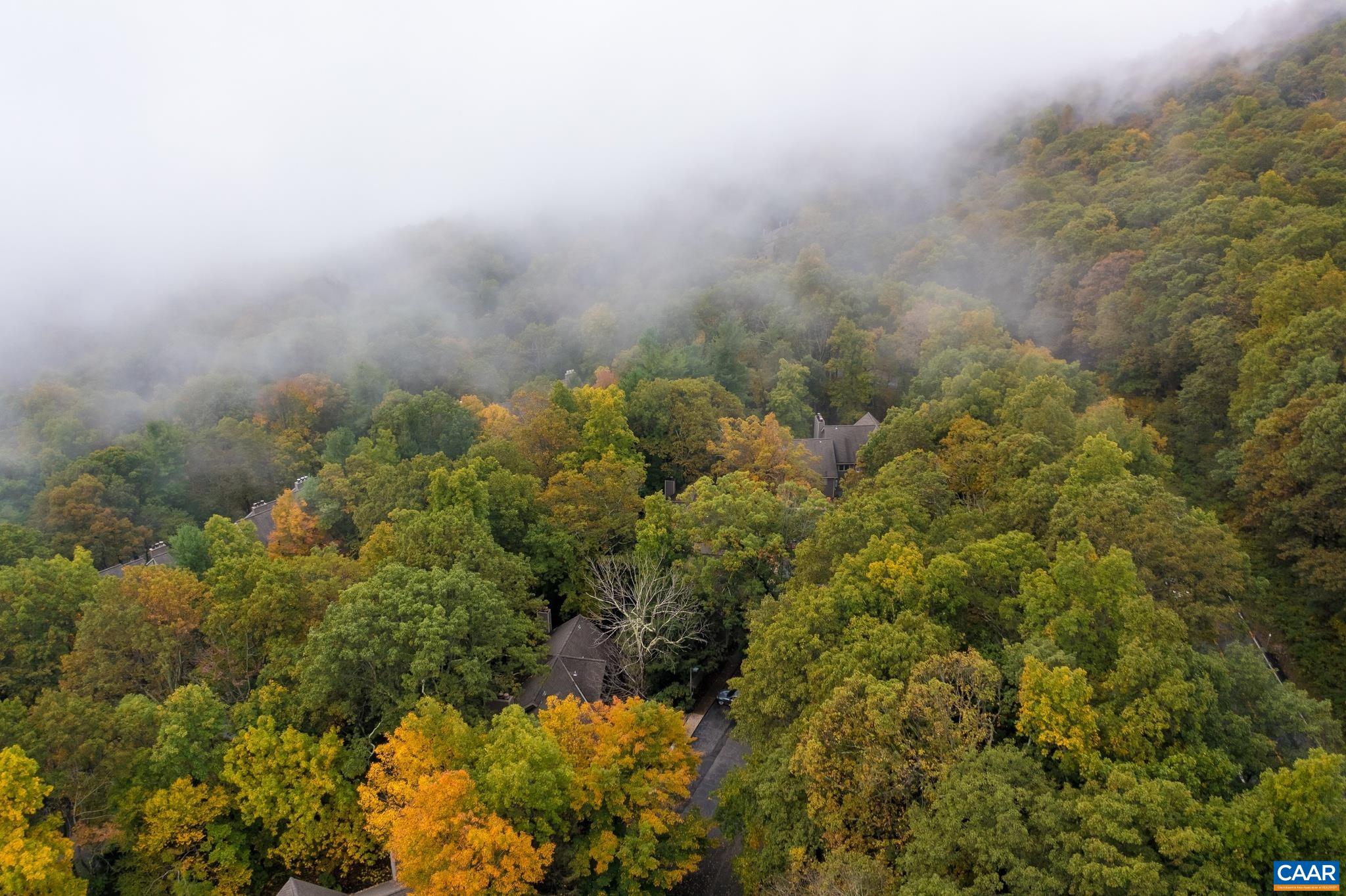 479 THREE RIDGES CONDOS, WINTERGREEN RESORT, Virginia 22967, 2 Bedrooms Bedrooms, ,2 BathroomsBathrooms,Residential,479 THREE RIDGES CONDOS,682327 MLS # 682327