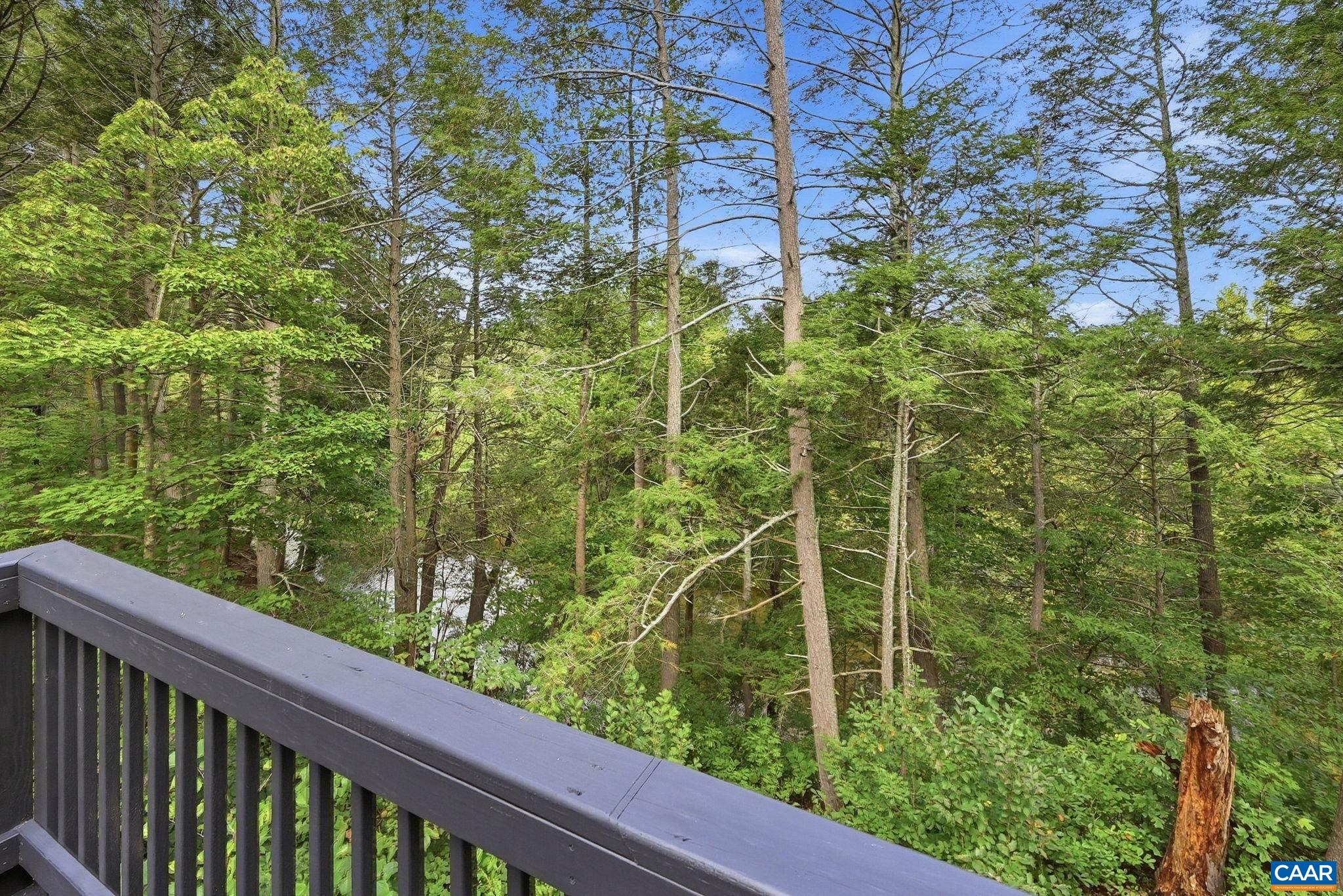 97 DADDY RABBIT CT, RUCKERSVILLE, Virginia 22968, 3 Bedrooms Bedrooms, ,2 BathroomsBathrooms,Residential,97 DADDY RABBIT CT,682357 MLS # 682357 97 DADDY RABBIT CT, RUCKERSVILLE, Virginia 22968, 3 Bedrooms Bedrooms, ,2 BathroomsBathrooms,Residential,97 DADDY RABBIT CT,682357 MLS # 682357