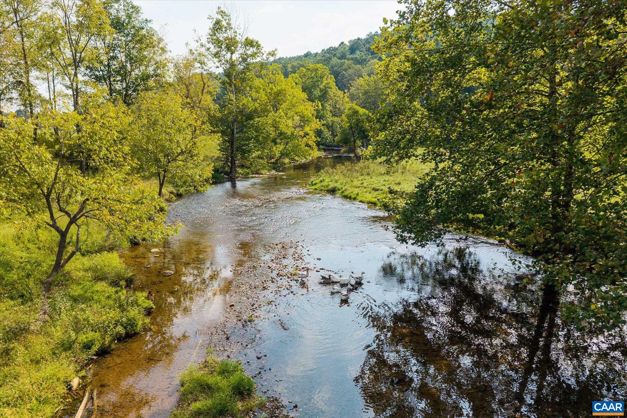 964 CRYSTAL SPRINGS DR, BLAND, Virginia 24315, 5 Bedrooms Bedrooms, ,2 BathroomsBathrooms,Residential,Crystal Springs Farm,964 CRYSTAL SPRINGS DR,682373 MLS # 682373 964 CRYSTAL SPRINGS DR, BLAND, Virginia 24315, 5 Bedrooms Bedrooms, ,2 BathroomsBathrooms,Residential,Crystal Springs Farm,964 CRYSTAL SPRINGS DR,682373 MLS # 682373
