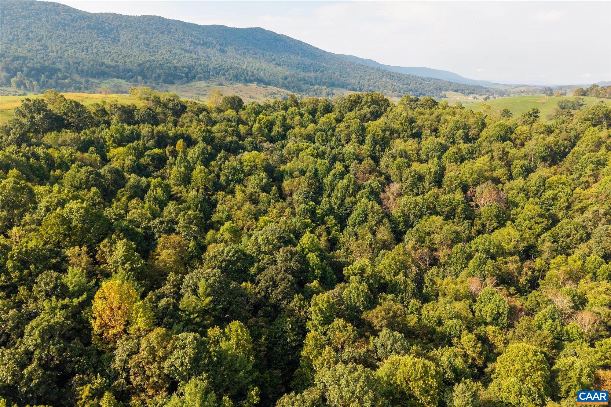 964 CRYSTAL SPRINGS DR, BLAND, Virginia 24315, 5 Bedrooms Bedrooms, ,2 BathroomsBathrooms,Residential,Crystal Springs Farm,964 CRYSTAL SPRINGS DR,682373 MLS # 682373 964 CRYSTAL SPRINGS DR, BLAND, Virginia 24315, 5 Bedrooms Bedrooms, ,2 BathroomsBathrooms,Residential,Crystal Springs Farm,964 CRYSTAL SPRINGS DR,682373 MLS # 682373
