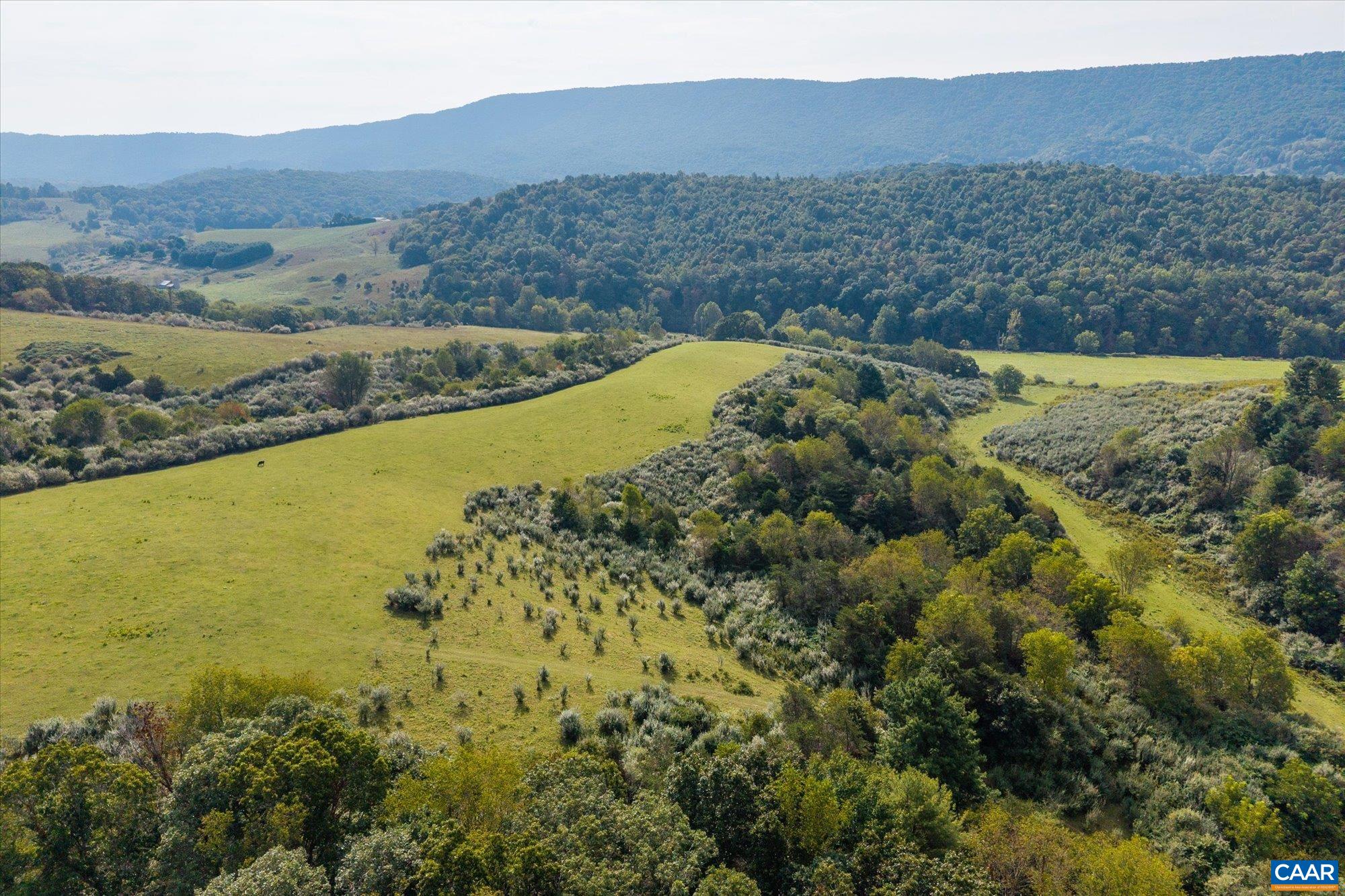 964 CRYSTAL SPRINGS DR, BLAND, Virginia 24315, 5 Bedrooms Bedrooms, ,2 BathroomsBathrooms,Residential,Crystal Springs Farm,964 CRYSTAL SPRINGS DR,682373 MLS # 682373 964 CRYSTAL SPRINGS DR, BLAND, Virginia 24315, 5 Bedrooms Bedrooms, ,2 BathroomsBathrooms,Residential,Crystal Springs Farm,964 CRYSTAL SPRINGS DR,682373 MLS # 682373