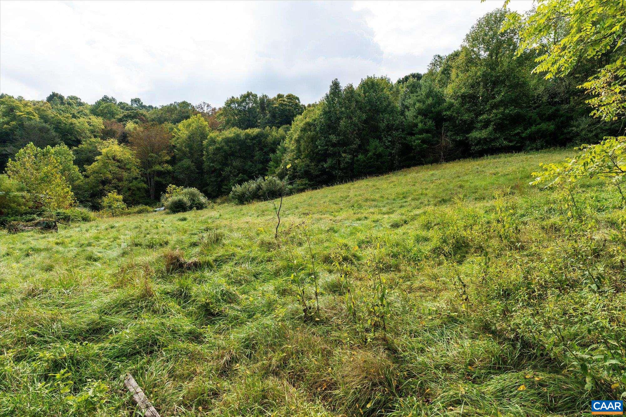 964 CRYSTAL SPRINGS DR, BLAND, Virginia 24315, 5 Bedrooms Bedrooms, ,2 BathroomsBathrooms,Residential,Crystal Springs Farm,964 CRYSTAL SPRINGS DR,682373 MLS # 682373 964 CRYSTAL SPRINGS DR, BLAND, Virginia 24315, 5 Bedrooms Bedrooms, ,2 BathroomsBathrooms,Residential,Crystal Springs Farm,964 CRYSTAL SPRINGS DR,682373 MLS # 682373