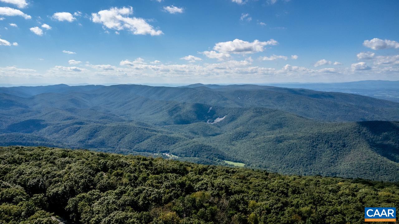 116 EAST CATOCTIN DR, WINTERGREEN RESORT, Virginia 22967, ,Land,116 EAST CATOCTIN DR,682387 MLS # 682387 116 EAST CATOCTIN DR, WINTERGREEN RESORT, Virginia 22967, ,Land,116 EAST CATOCTIN DR,682387 MLS # 682387