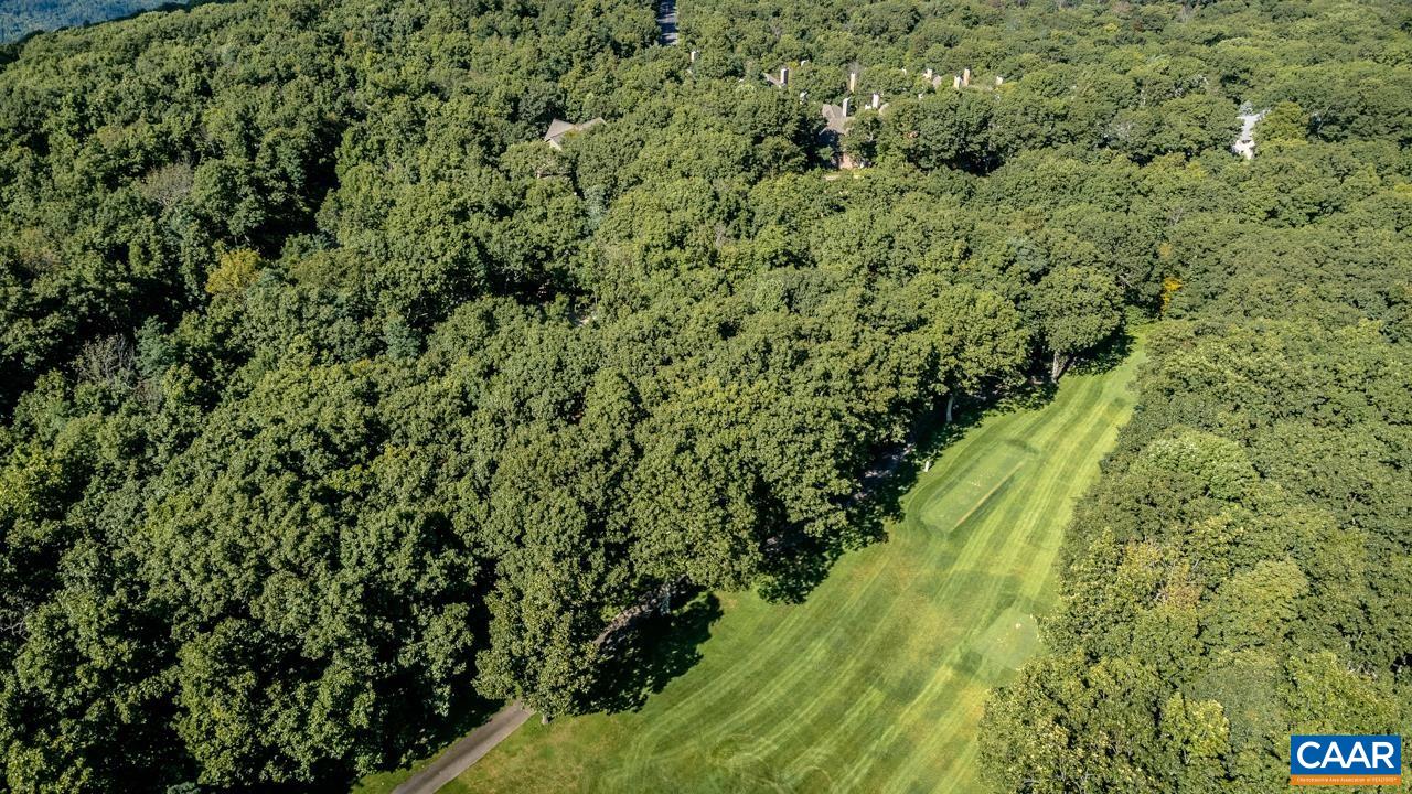 116 EAST CATOCTIN DR, WINTERGREEN RESORT, Virginia 22967, ,Land,116 EAST CATOCTIN DR,682387 MLS # 682387 116 EAST CATOCTIN DR, WINTERGREEN RESORT, Virginia 22967, ,Land,116 EAST CATOCTIN DR,682387 MLS # 682387