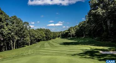 116 EAST CATOCTIN DR, WINTERGREEN RESORT, Virginia 22967, ,Land,116 EAST CATOCTIN DR,682387 MLS # 682387