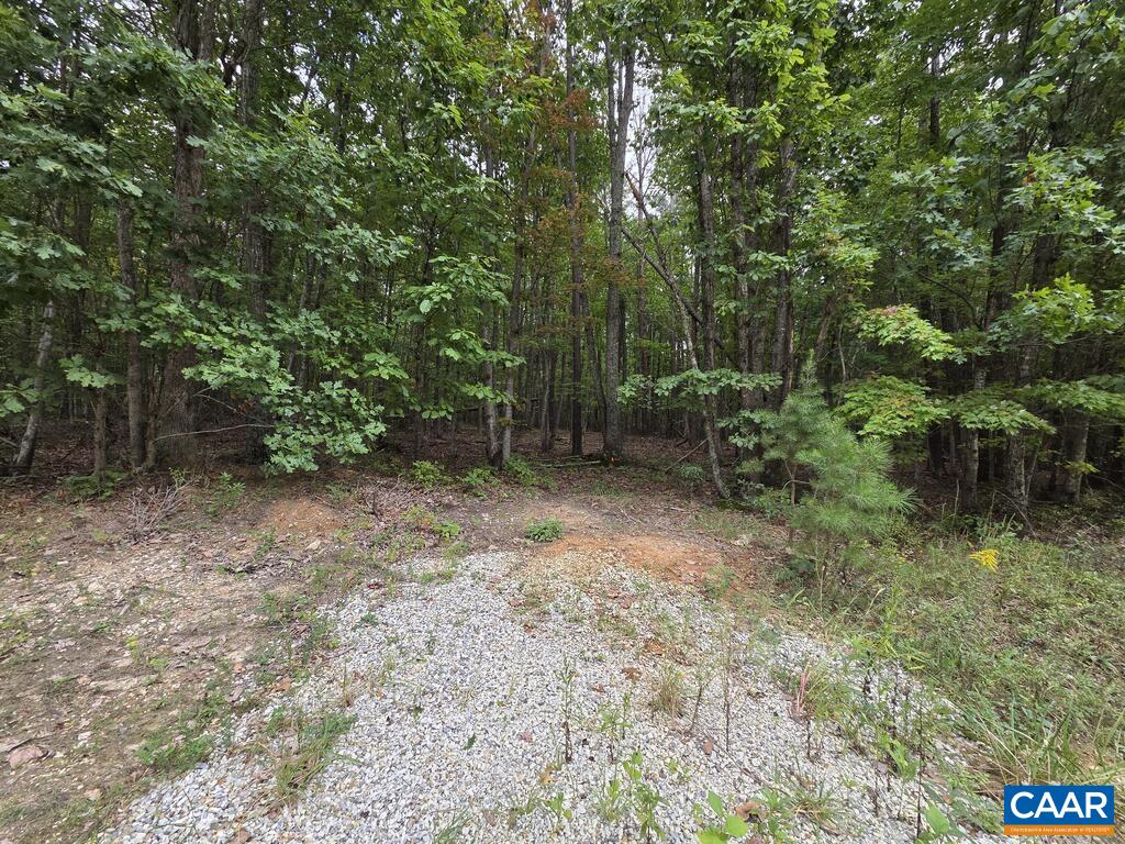 5.6 Ac MEADOW CREEK RD, WINGINA, Virginia 24599, ,Land,5.6 Ac MEADOW CREEK RD,682390 MLS # 682390 5.6 Ac MEADOW CREEK RD, WINGINA, Virginia 24599, ,Land,5.6 Ac MEADOW CREEK RD,682390 MLS # 682390