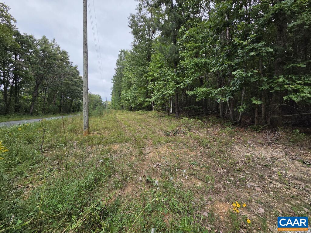 5.6 Ac MEADOW CREEK RD, WINGINA, Virginia 24599, ,Land,5.6 Ac MEADOW CREEK RD,682390 MLS # 682390 5.6 Ac MEADOW CREEK RD, WINGINA, Virginia 24599, ,Land,5.6 Ac MEADOW CREEK RD,682390 MLS # 682390