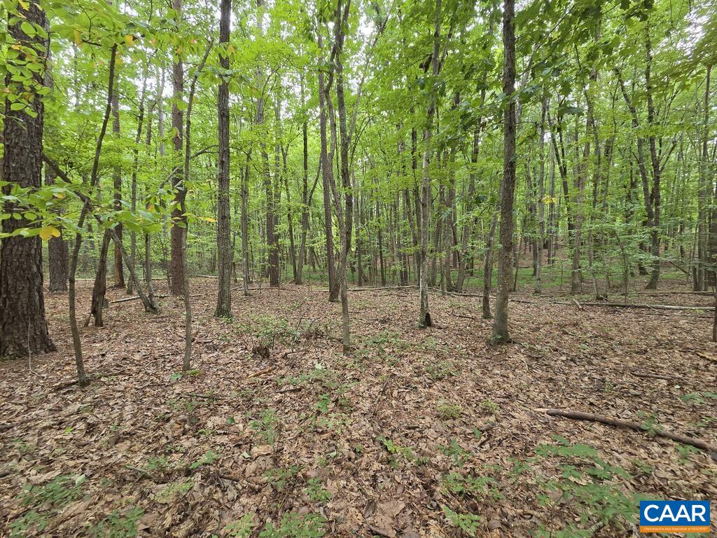 5.6 Ac MEADOW CREEK RD, WINGINA, Virginia 24599, ,Land,5.6 Ac MEADOW CREEK RD,682390 MLS # 682390 5.6 Ac MEADOW CREEK RD, WINGINA, Virginia 24599, ,Land,5.6 Ac MEADOW CREEK RD,682390 MLS # 682390