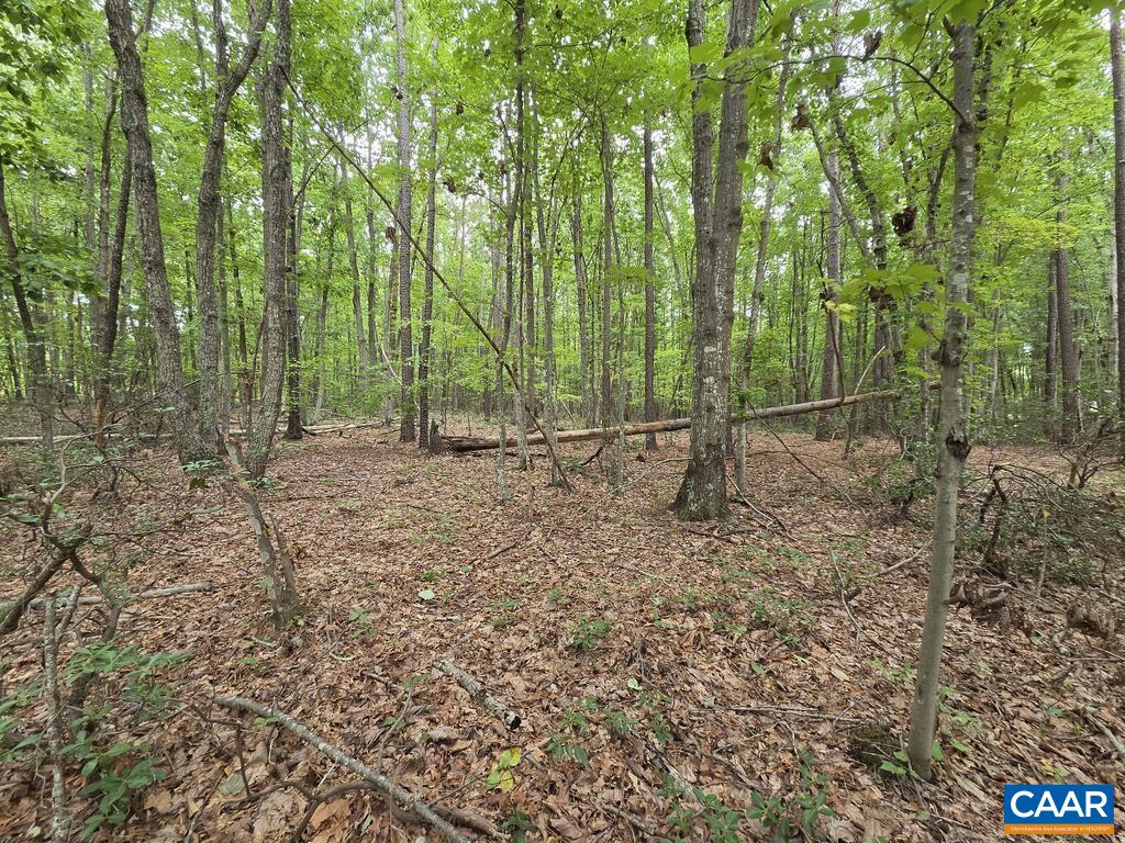 5.6 Ac MEADOW CREEK RD, WINGINA, Virginia 24599, ,Land,5.6 Ac MEADOW CREEK RD,682390 MLS # 682390 5.6 Ac MEADOW CREEK RD, WINGINA, Virginia 24599, ,Land,5.6 Ac MEADOW CREEK RD,682390 MLS # 682390