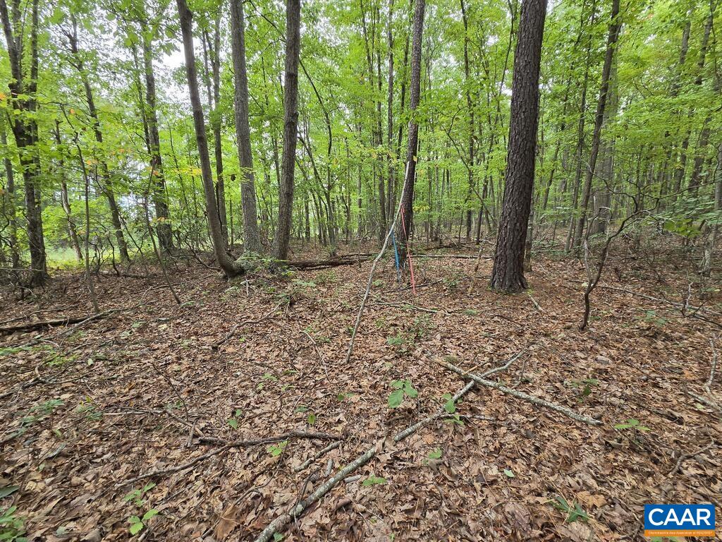 5.6 Ac MEADOW CREEK RD, WINGINA, Virginia 24599, ,Land,5.6 Ac MEADOW CREEK RD,682390 MLS # 682390 5.6 Ac MEADOW CREEK RD, WINGINA, Virginia 24599, ,Land,5.6 Ac MEADOW CREEK RD,682390 MLS # 682390