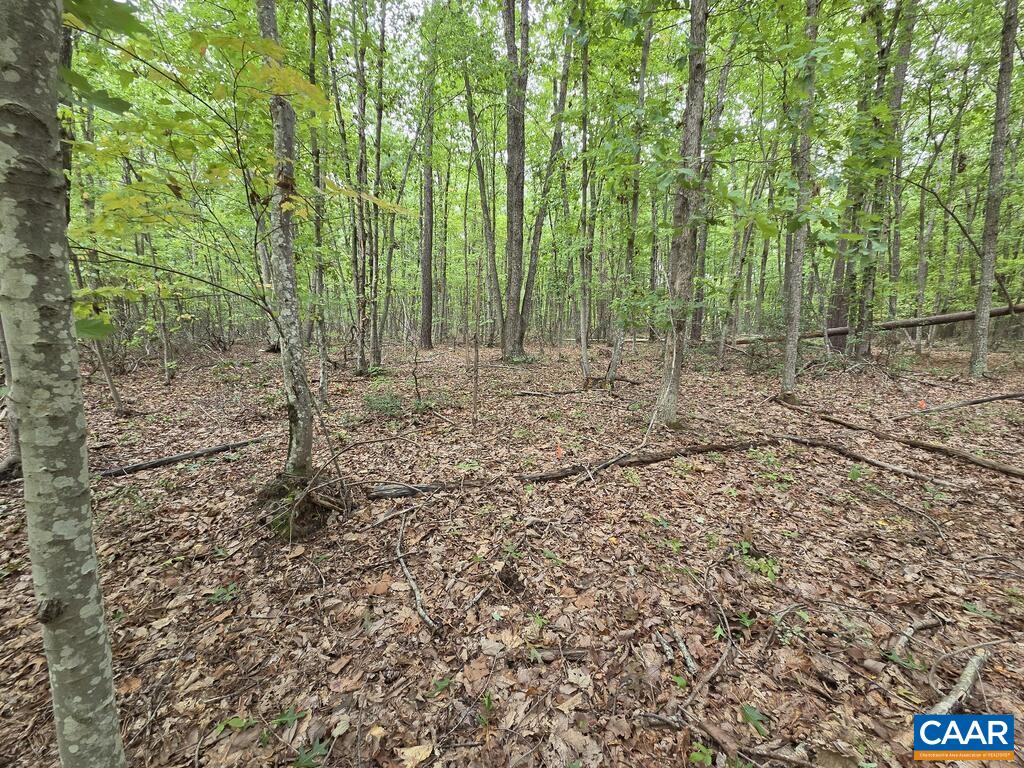 5.6 Ac MEADOW CREEK RD, WINGINA, Virginia 24599, ,Land,5.6 Ac MEADOW CREEK RD,682390 MLS # 682390 5.6 Ac MEADOW CREEK RD, WINGINA, Virginia 24599, ,Land,5.6 Ac MEADOW CREEK RD,682390 MLS # 682390