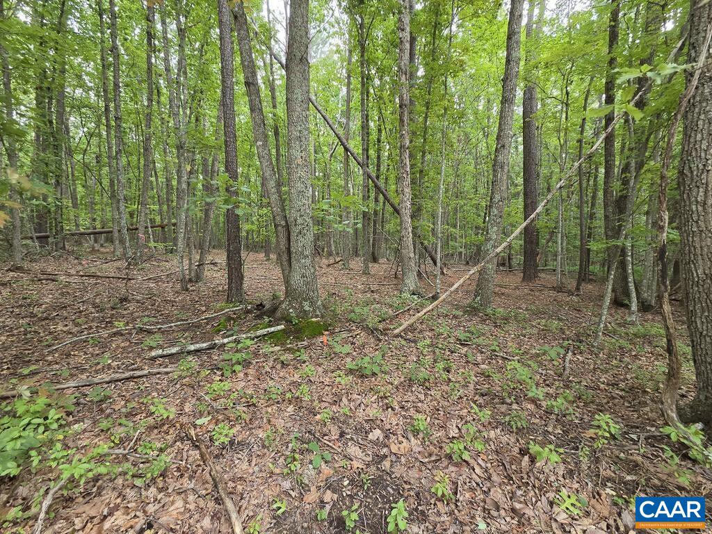 5.6 Ac MEADOW CREEK RD, WINGINA, Virginia 24599, ,Land,5.6 Ac MEADOW CREEK RD,682390 MLS # 682390 5.6 Ac MEADOW CREEK RD, WINGINA, Virginia 24599, ,Land,5.6 Ac MEADOW CREEK RD,682390 MLS # 682390