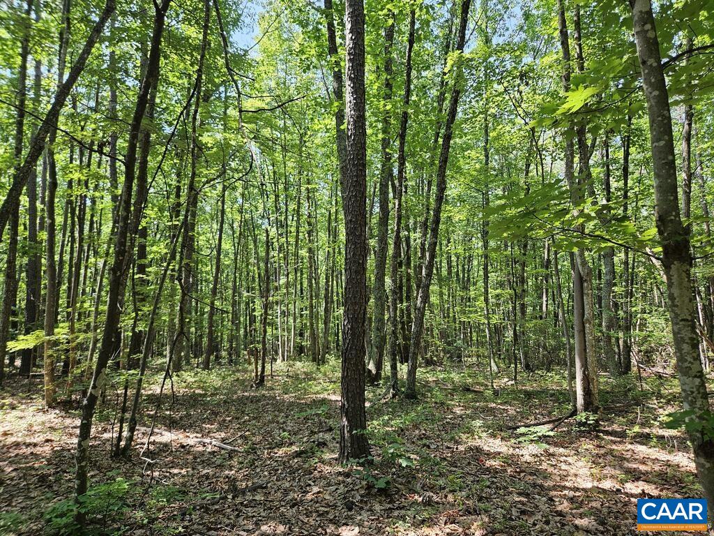5.6 Ac MEADOW CREEK RD, WINGINA, Virginia 24599, ,Land,5.6 Ac MEADOW CREEK RD,682390 MLS # 682390 5.6 Ac MEADOW CREEK RD, WINGINA, Virginia 24599, ,Land,5.6 Ac MEADOW CREEK RD,682390 MLS # 682390