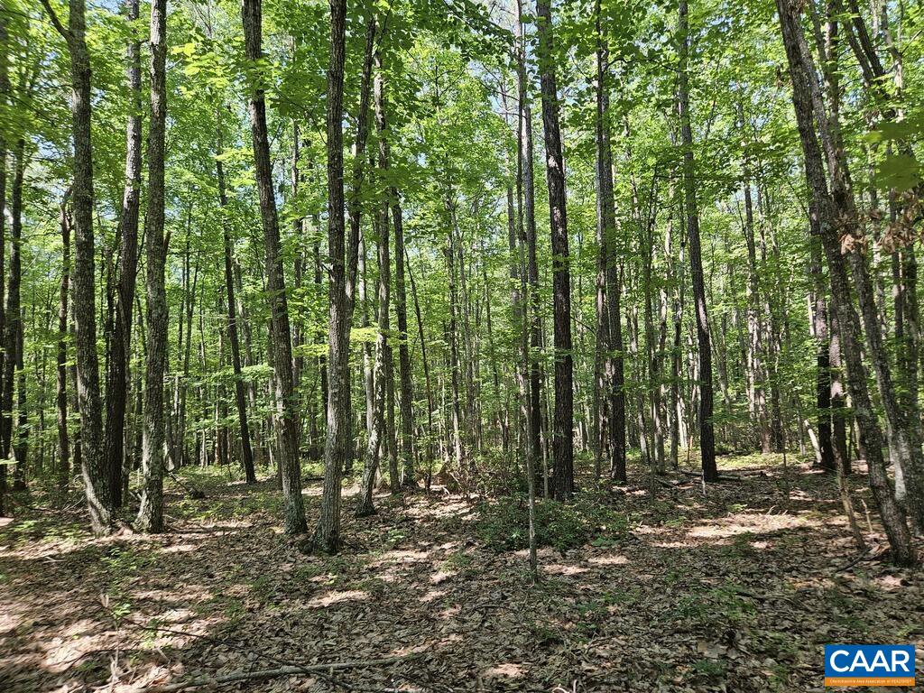 5.6 Ac MEADOW CREEK RD, WINGINA, Virginia 24599, ,Land,5.6 Ac MEADOW CREEK RD,682390 MLS # 682390 5.6 Ac MEADOW CREEK RD, WINGINA, Virginia 24599, ,Land,5.6 Ac MEADOW CREEK RD,682390 MLS # 682390