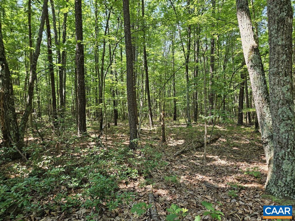 5.6 Ac MEADOW CREEK RD, WINGINA, Virginia 24599, ,Land,5.6 Ac MEADOW CREEK RD,682390 MLS # 682390 5.6 Ac MEADOW CREEK RD, WINGINA, Virginia 24599, ,Land,5.6 Ac MEADOW CREEK RD,682390 MLS # 682390