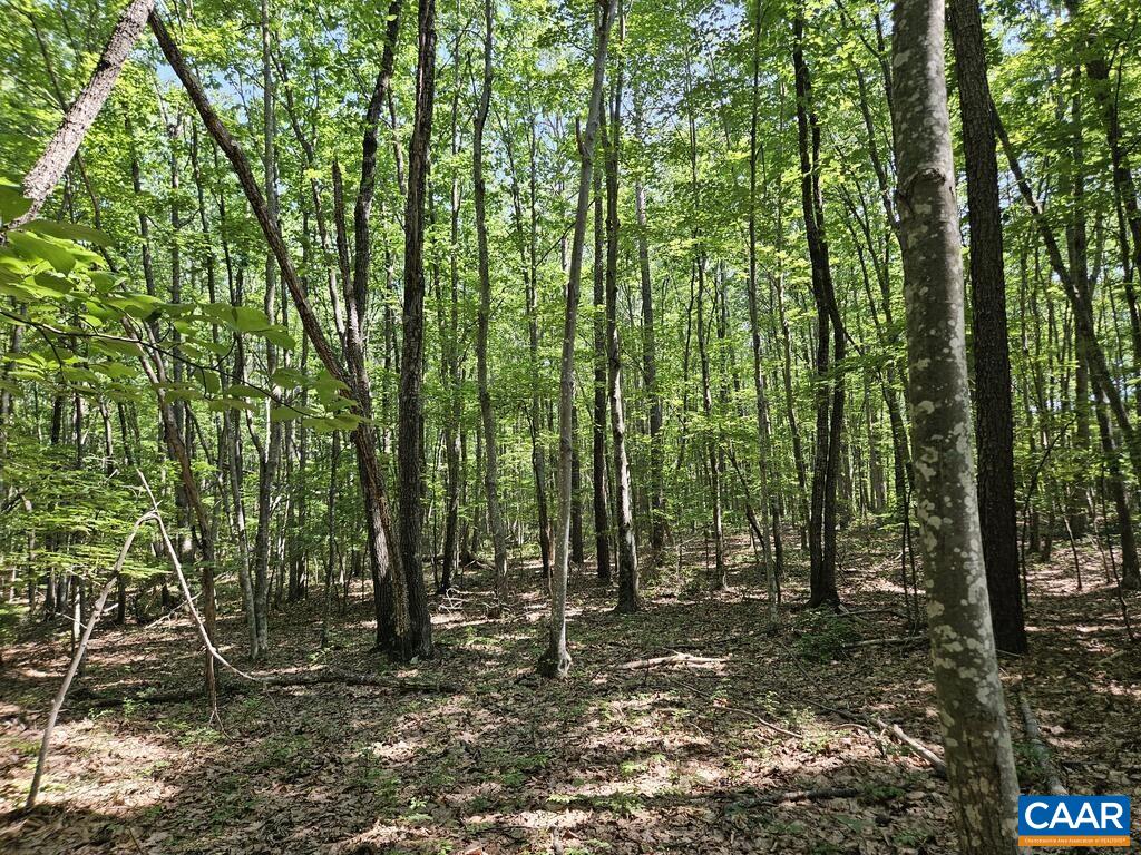 5.6 Ac MEADOW CREEK RD, WINGINA, Virginia 24599, ,Land,5.6 Ac MEADOW CREEK RD,682390 MLS # 682390 5.6 Ac MEADOW CREEK RD, WINGINA, Virginia 24599, ,Land,5.6 Ac MEADOW CREEK RD,682390 MLS # 682390