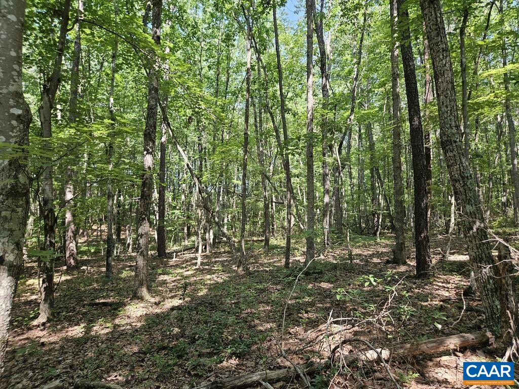 5.6 Ac MEADOW CREEK RD, WINGINA, Virginia 24599, ,Land,5.6 Ac MEADOW CREEK RD,682390 MLS # 682390 5.6 Ac MEADOW CREEK RD, WINGINA, Virginia 24599, ,Land,5.6 Ac MEADOW CREEK RD,682390 MLS # 682390