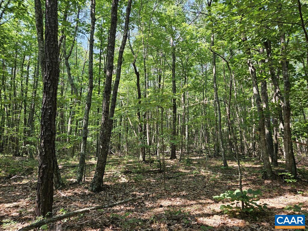 5.6 Ac MEADOW CREEK RD, WINGINA, Virginia 24599, ,Land,5.6 Ac MEADOW CREEK RD,682390 MLS # 682390 5.6 Ac MEADOW CREEK RD, WINGINA, Virginia 24599, ,Land,5.6 Ac MEADOW CREEK RD,682390 MLS # 682390