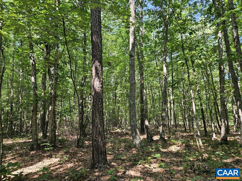 5.6 Ac MEADOW CREEK RD, WINGINA, Virginia 24599, ,Land,5.6 Ac MEADOW CREEK RD,682390 MLS # 682390 5.6 Ac MEADOW CREEK RD, WINGINA, Virginia 24599, ,Land,5.6 Ac MEADOW CREEK RD,682390 MLS # 682390