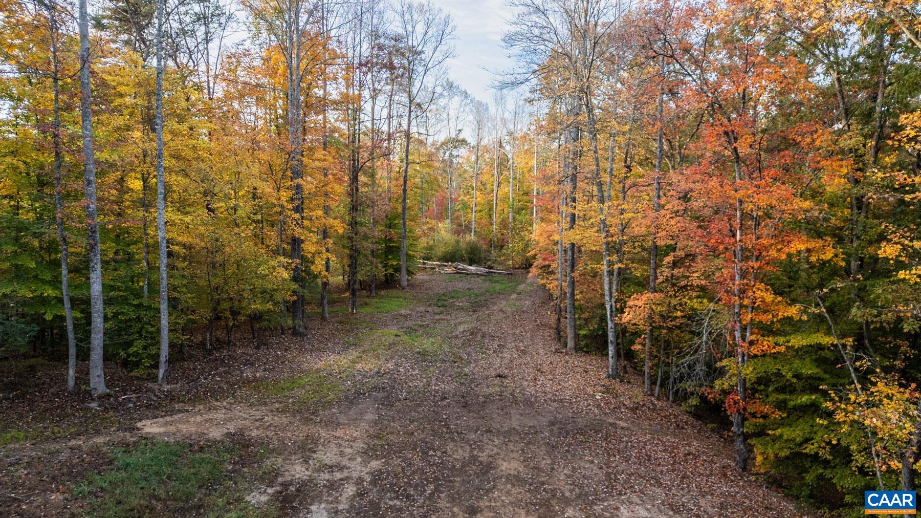 Maintained trail network through mature hardwoods. Maintained trail network through mature hardwoods.