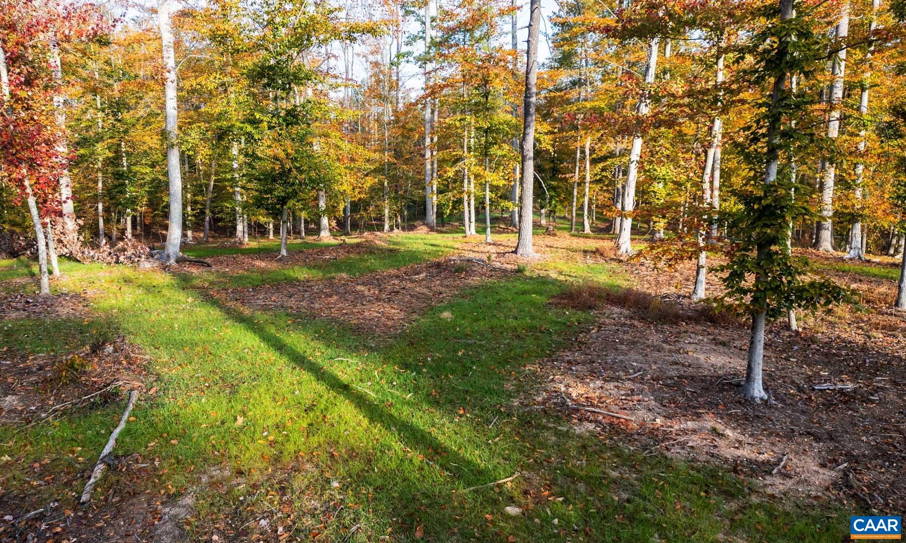 The upper site. Mature oaks left standing, ground ready. The upper site. Mature oaks left standing, ground ready.