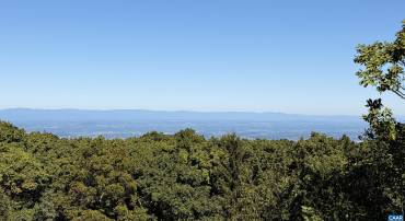 Enjoy spectacular 180-degree panoramic mountain and Shenandoah Valley views from this spacious 4-bedroom, 4.5-bath townhouse.