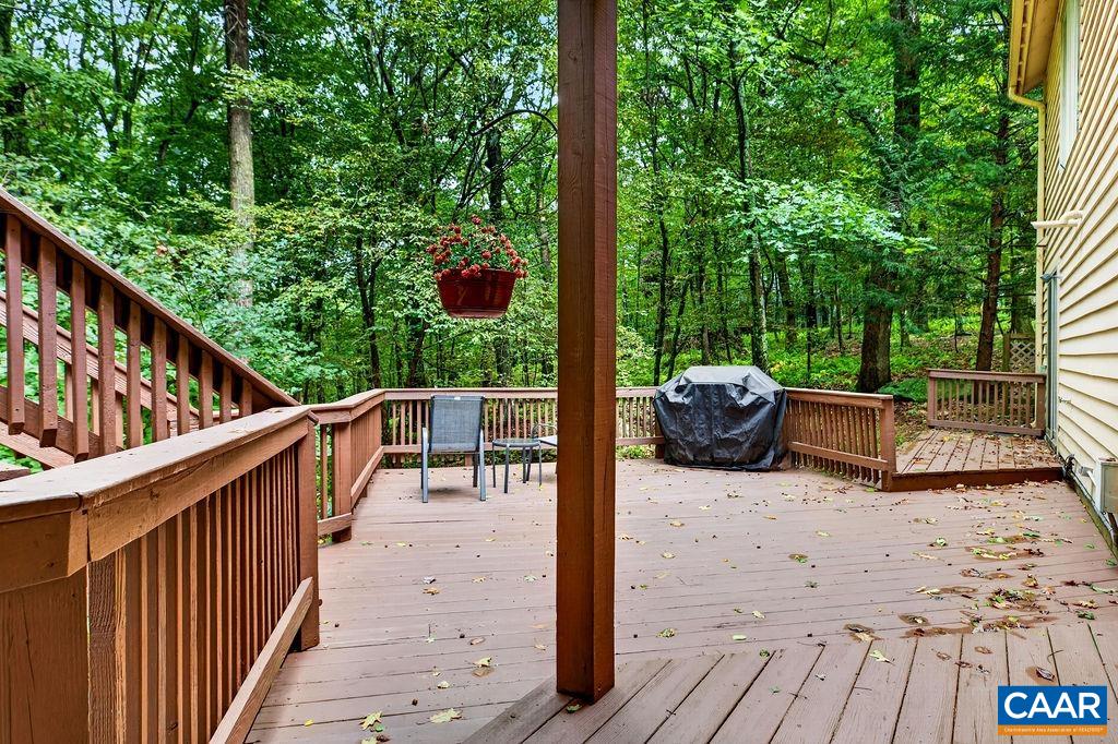 299 DEER SPRINGS LN, ROSELAND, Virginia 22967, 4 Bedrooms Bedrooms, ,3 BathroomsBathrooms,Residential,299 DEER SPRINGS LN,682405 MLS # 682405