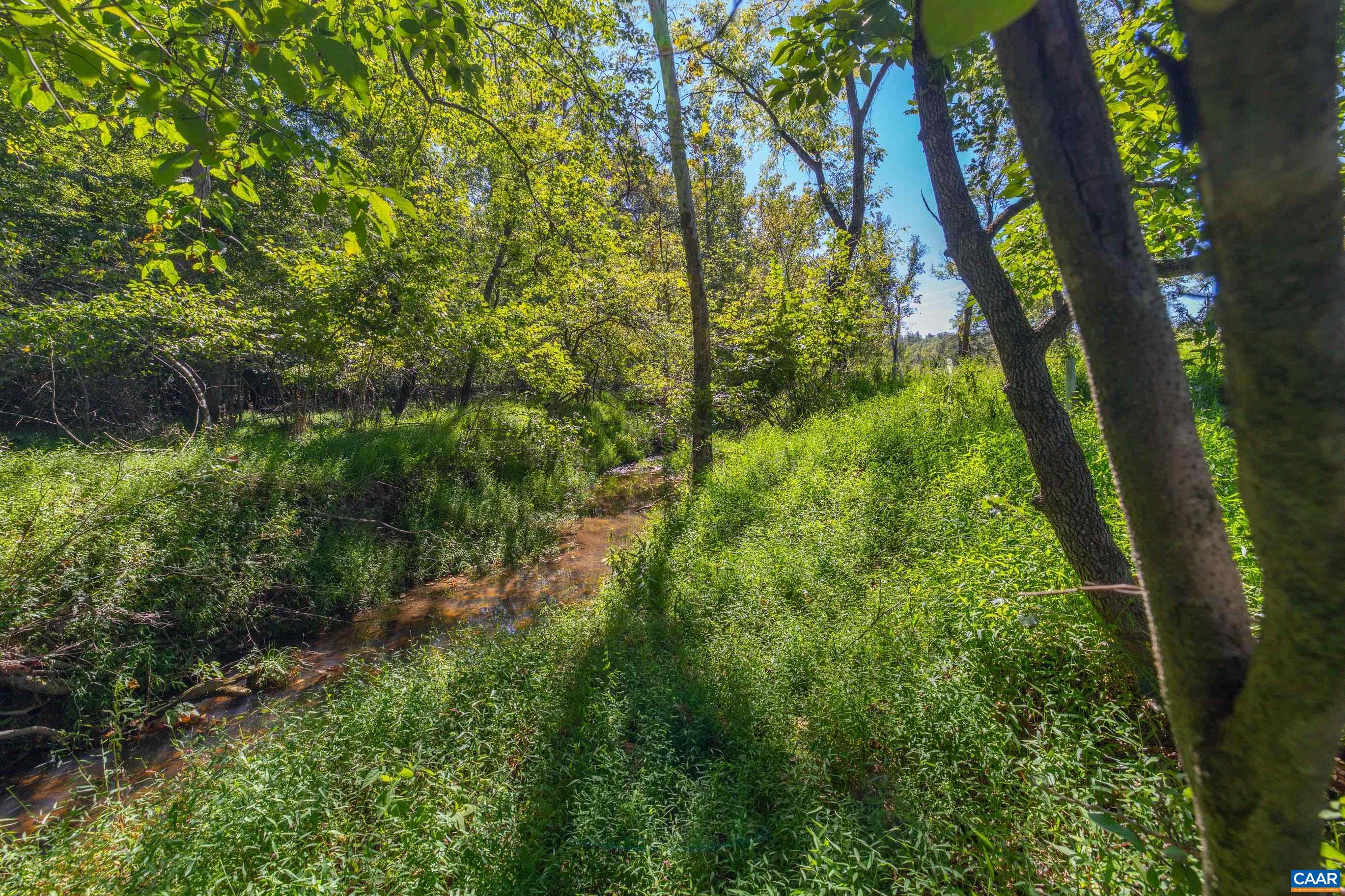 3795 FIVE FORKS LN, BARBOURSVILLE, Virginia 22923, 3 Bedrooms Bedrooms, ,2 BathroomsBathrooms,Residential,3795 FIVE FORKS LN,682409 MLS # 682409 3795 FIVE FORKS LN, BARBOURSVILLE, Virginia 22923, 3 Bedrooms Bedrooms, ,2 BathroomsBathrooms,Residential,3795 FIVE FORKS LN,682409 MLS # 682409
