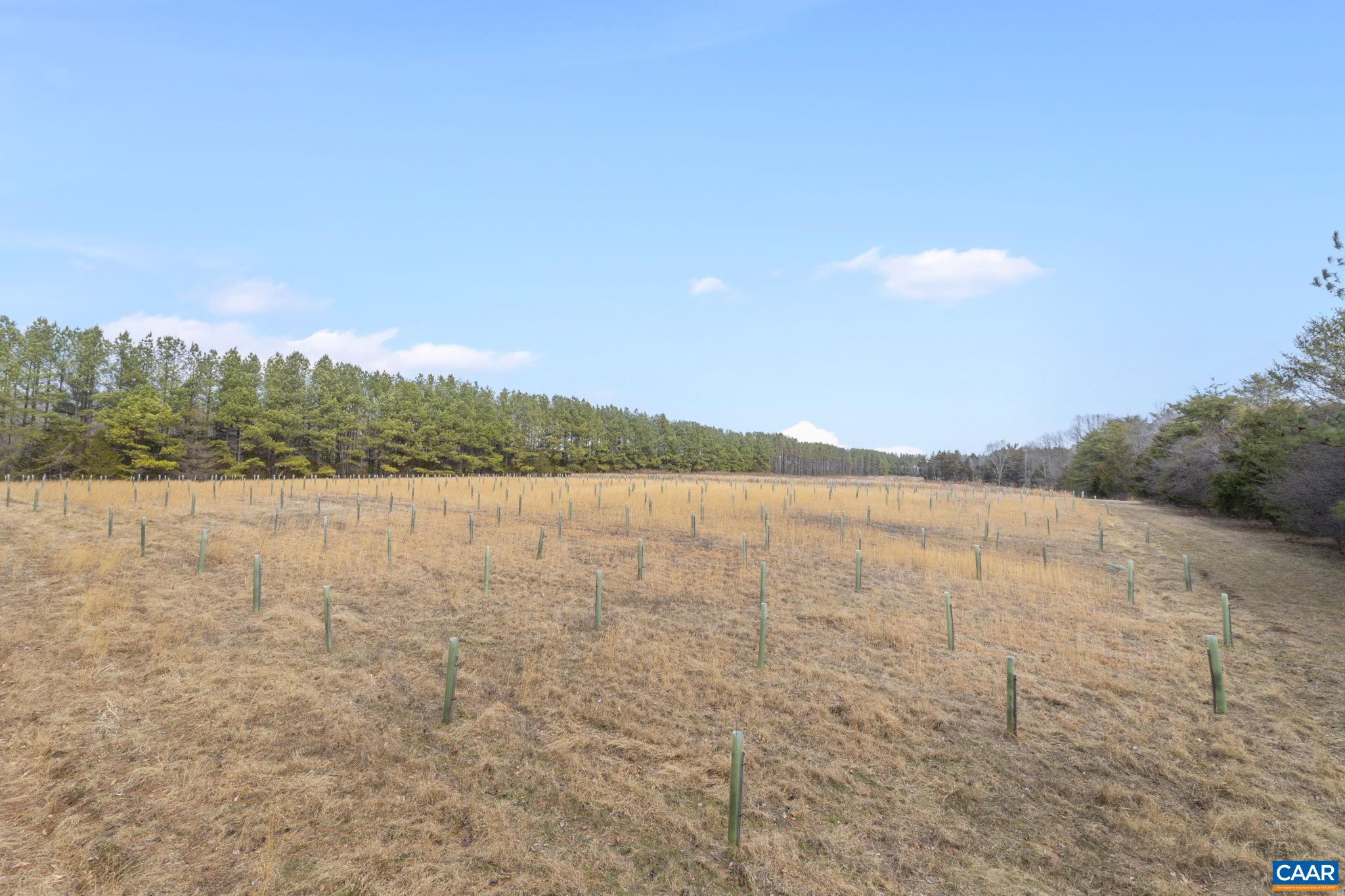 12048 LOUISA RD, GORDONSVILLE, Virginia 22942, 4 Bedrooms Bedrooms, ,4 BathroomsBathrooms,Residential,Redbud Farm,12048 LOUISA RD,674232 MLS # 674232 12048 LOUISA RD, GORDONSVILLE, Virginia 22942, 4 Bedrooms Bedrooms, ,4 BathroomsBathrooms,Residential,Redbud Farm,12048 LOUISA RD,674232 MLS # 674232
