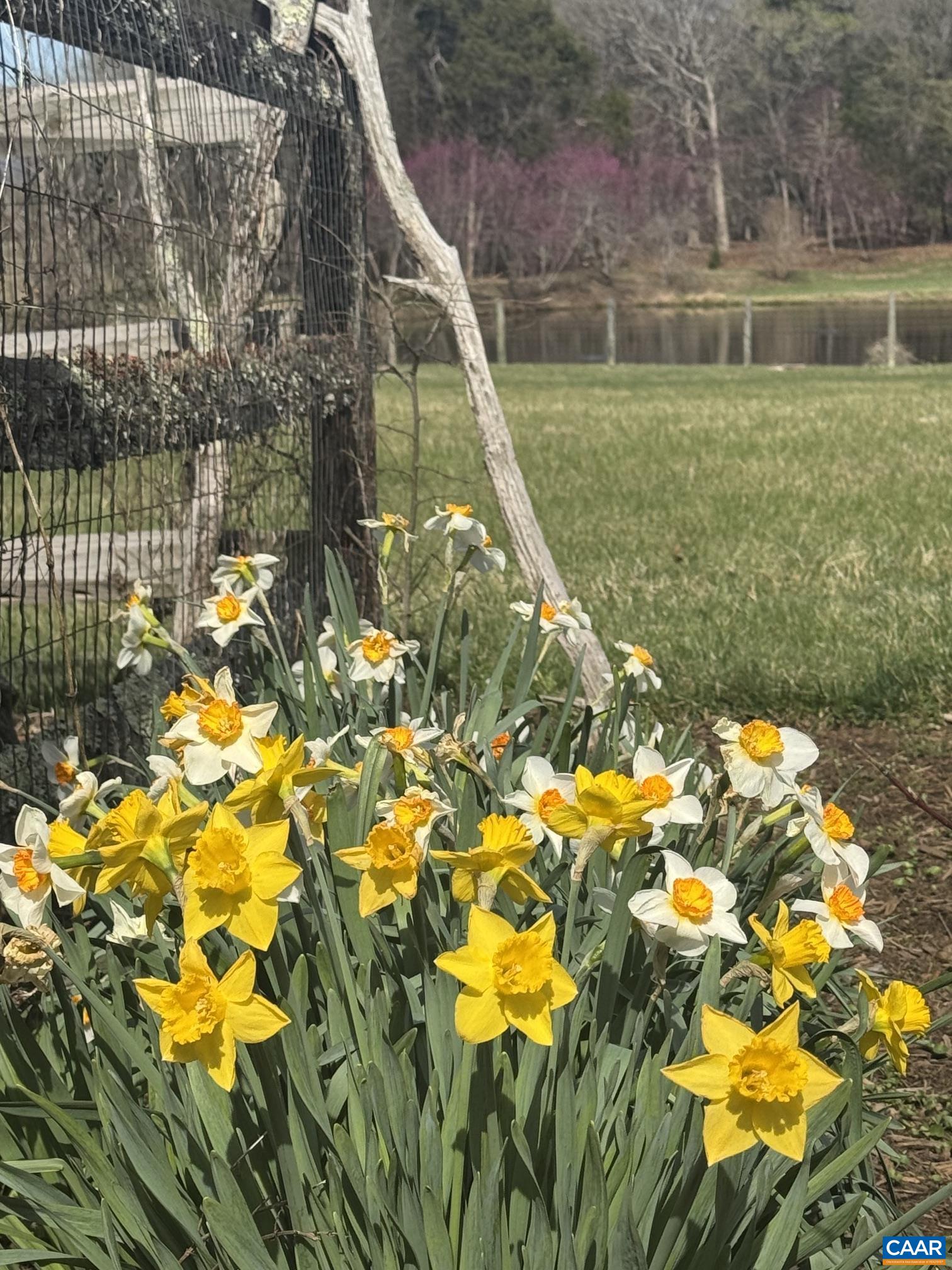 12048 LOUISA RD, GORDONSVILLE, Virginia 22942, 4 Bedrooms Bedrooms, ,4 BathroomsBathrooms,Residential,Redbud Farm,12048 LOUISA RD,674232 MLS # 674232 12048 LOUISA RD, GORDONSVILLE, Virginia 22942, 4 Bedrooms Bedrooms, ,4 BathroomsBathrooms,Residential,Redbud Farm,12048 LOUISA RD,674232 MLS # 674232