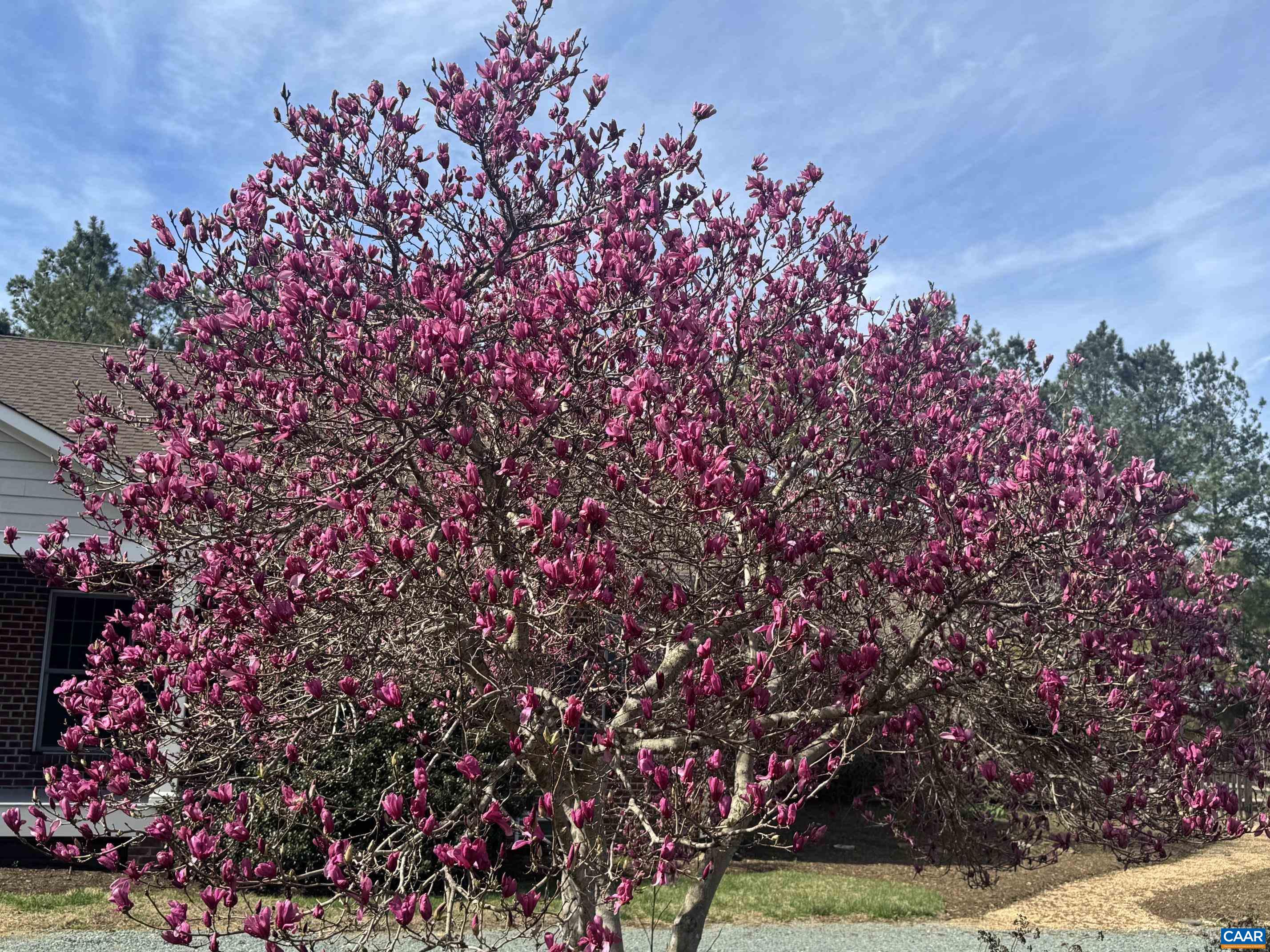 12048 LOUISA RD, GORDONSVILLE, Virginia 22942, 4 Bedrooms Bedrooms, ,4 BathroomsBathrooms,Residential,Redbud Farm,12048 LOUISA RD,674232 MLS # 674232 12048 LOUISA RD, GORDONSVILLE, Virginia 22942, 4 Bedrooms Bedrooms, ,4 BathroomsBathrooms,Residential,Redbud Farm,12048 LOUISA RD,674232 MLS # 674232