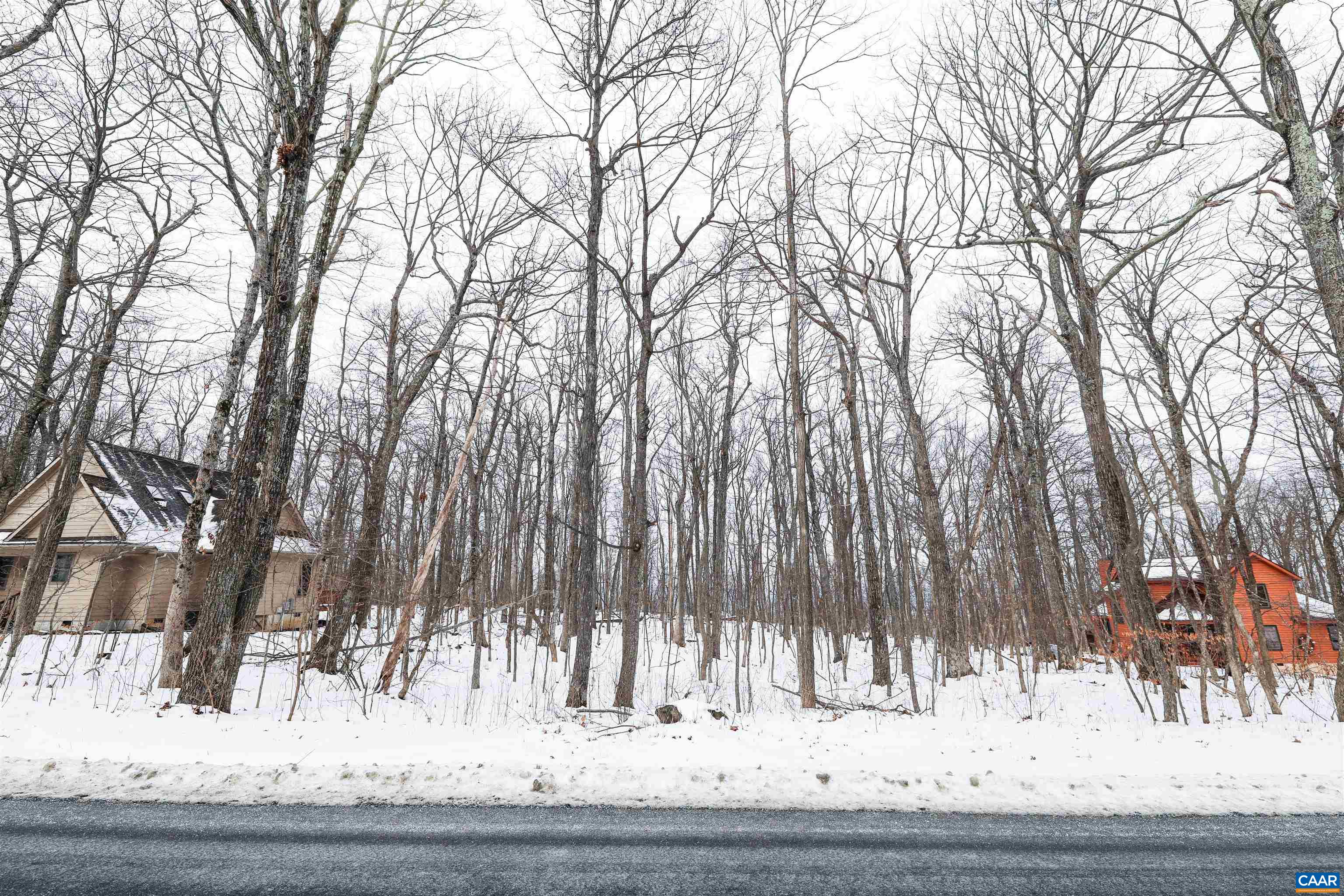 1331 LAUREL SPRINGS RD, WINTERGREEN RESORT, Virginia 22967, ,Land,1331 LAUREL SPRINGS RD,679511 MLS # 679511 1331 LAUREL SPRINGS RD, WINTERGREEN RESORT, Virginia 22967, ,Land,1331 LAUREL SPRINGS RD,679511 MLS # 679511
