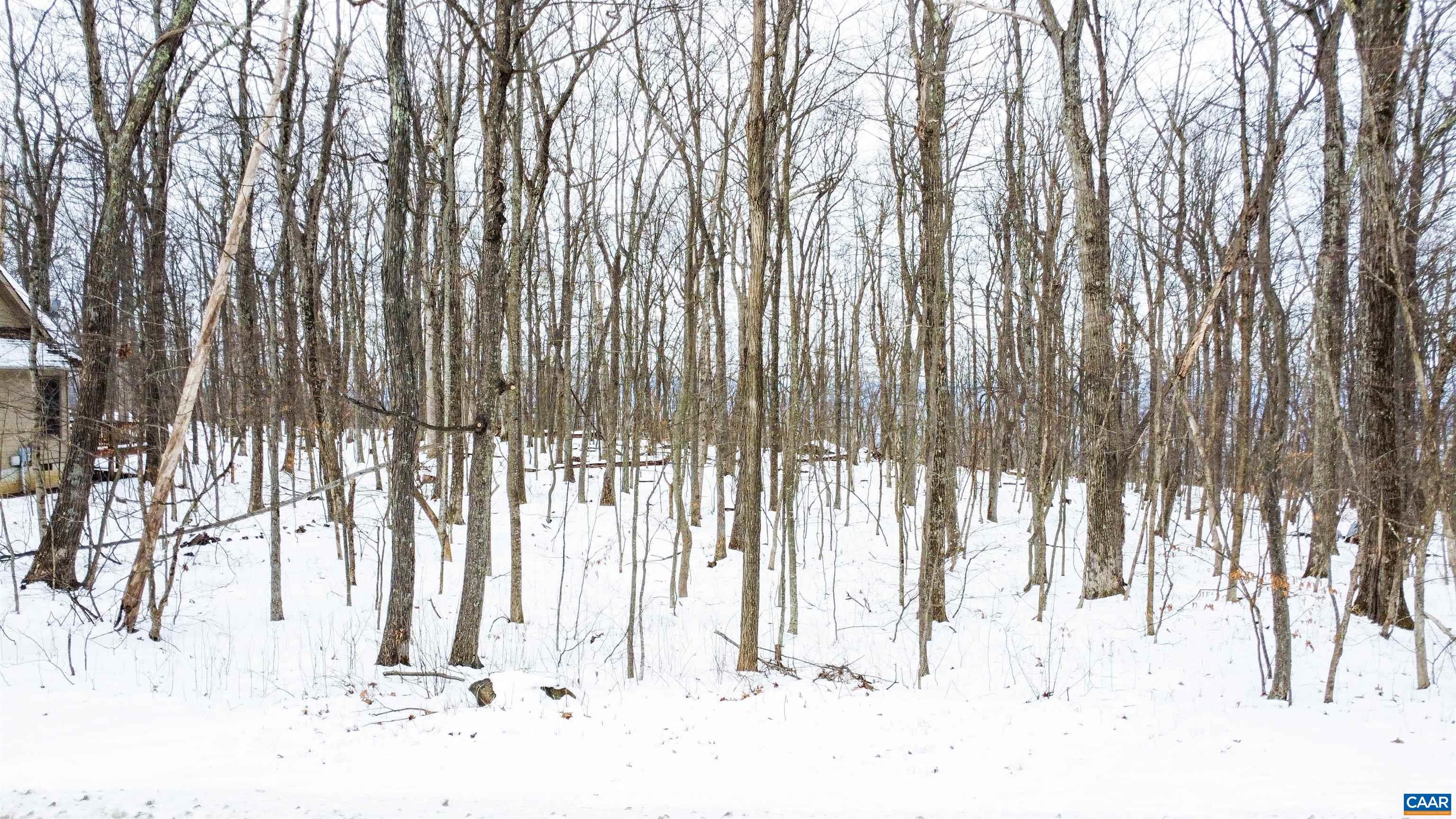 1331 LAUREL SPRINGS RD, WINTERGREEN RESORT, Virginia 22967, ,Land,1331 LAUREL SPRINGS RD,679511 MLS # 679511 1331 LAUREL SPRINGS RD, WINTERGREEN RESORT, Virginia 22967, ,Land,1331 LAUREL SPRINGS RD,679511 MLS # 679511