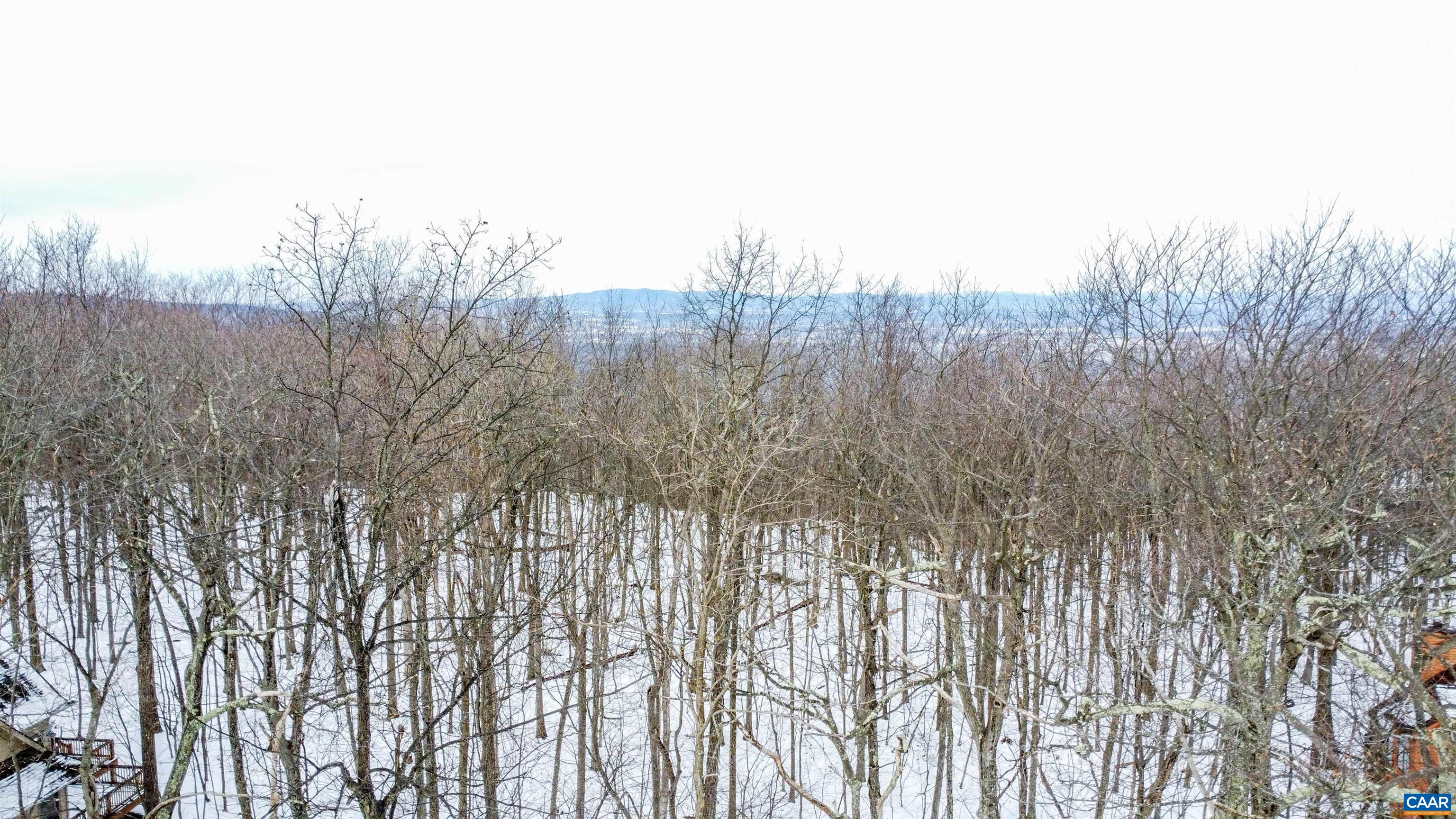 1331 LAUREL SPRINGS RD, WINTERGREEN RESORT, Virginia 22967, ,Land,1331 LAUREL SPRINGS RD,679511 MLS # 679511 1331 LAUREL SPRINGS RD, WINTERGREEN RESORT, Virginia 22967, ,Land,1331 LAUREL SPRINGS RD,679511 MLS # 679511