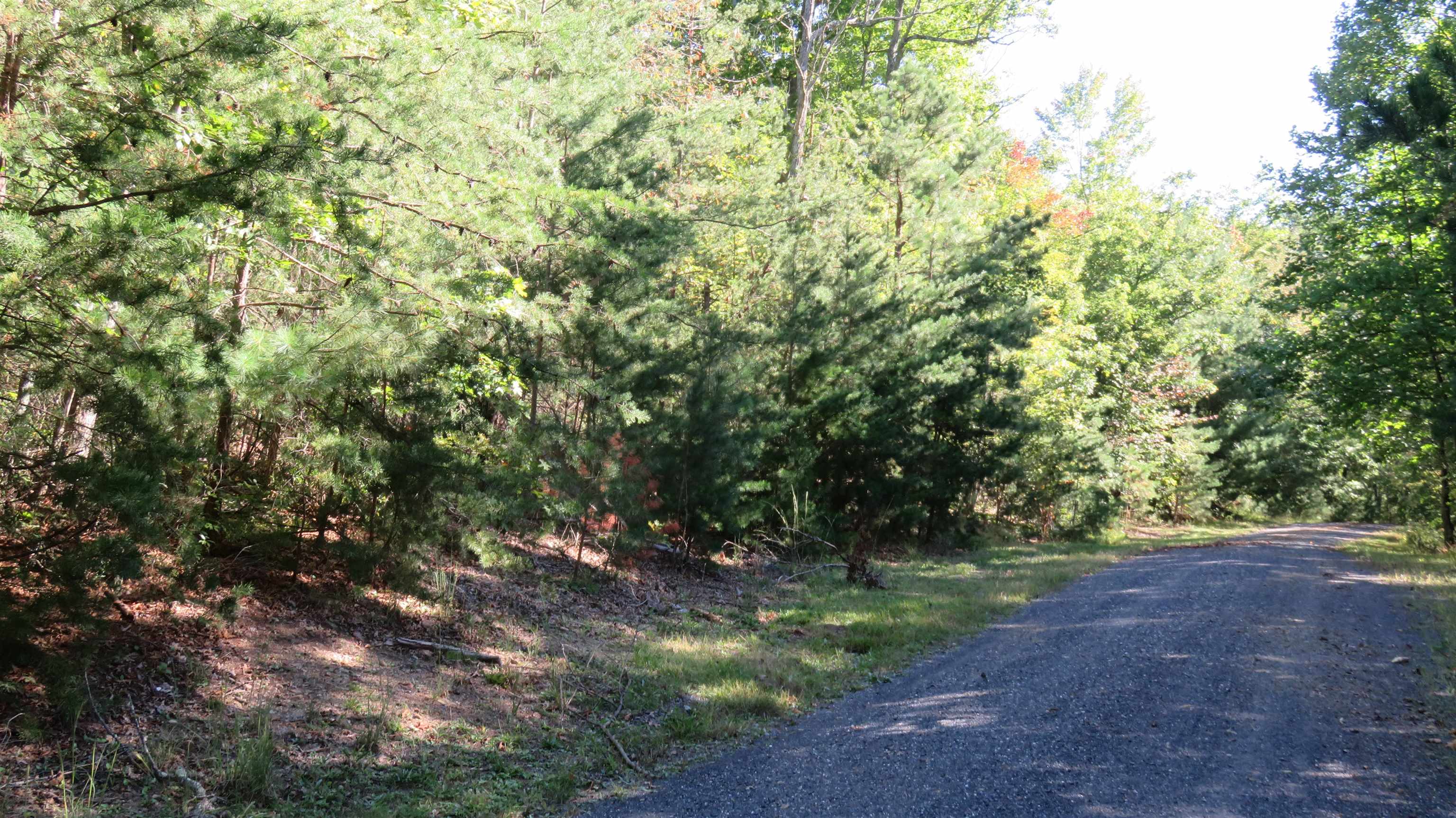 TBD BIRDS NEST RD, HINTON, Virginia 22831, ,Land,TBD Birds Nest Road Lot #30,TBD BIRDS NEST RD,682425 MLS # 682425 TBD BIRDS NEST RD, HINTON, Virginia 22831, ,Land,TBD Birds Nest Road Lot #30,TBD BIRDS NEST RD,682425 MLS # 682425