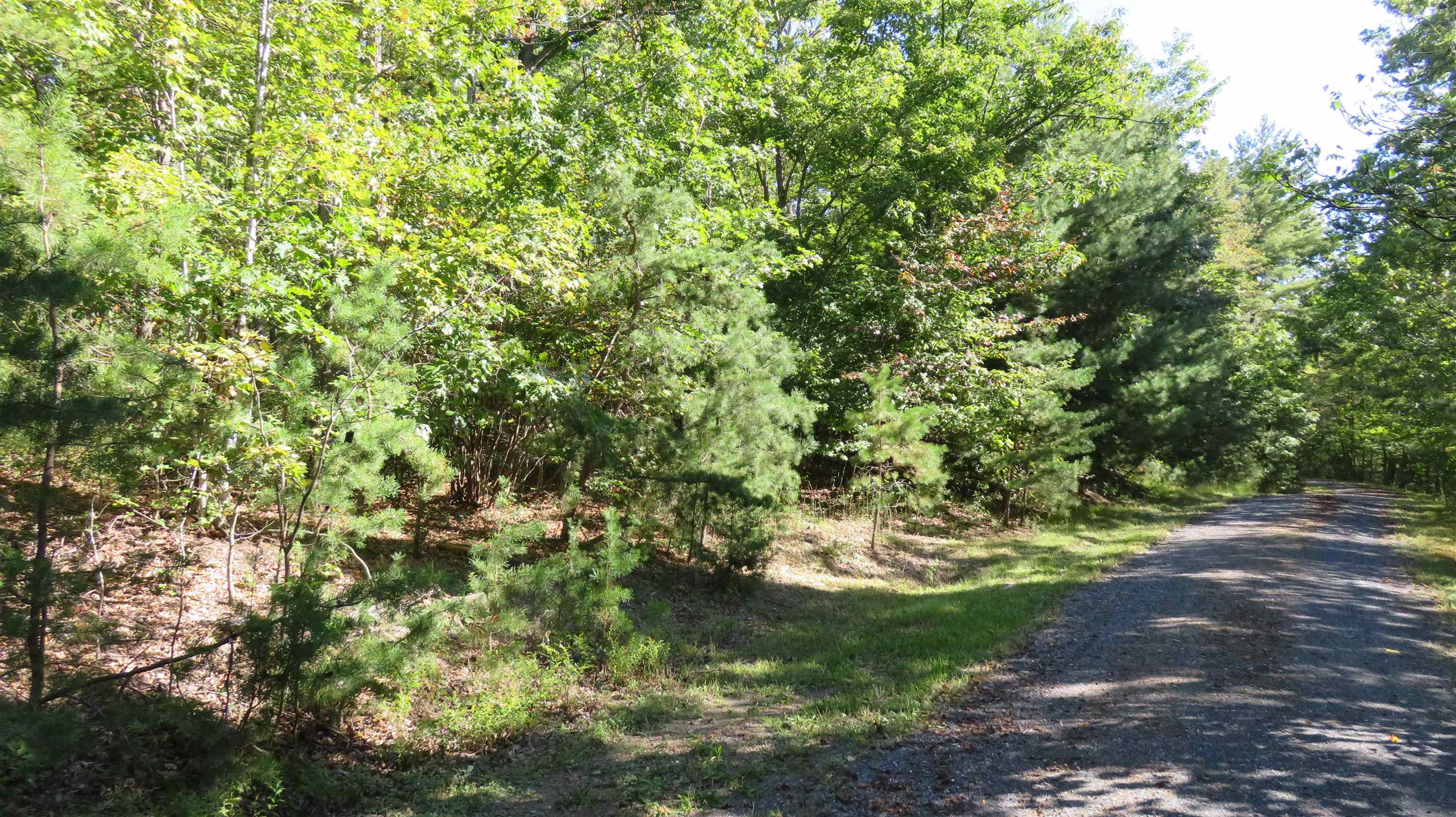 TBD BIRDS NEST RD, HINTON, Virginia 22831, ,Land,TBD Birds Nest Road Lot #30,TBD BIRDS NEST RD,682425 MLS # 682425 TBD BIRDS NEST RD, HINTON, Virginia 22831, ,Land,TBD Birds Nest Road Lot #30,TBD BIRDS NEST RD,682425 MLS # 682425