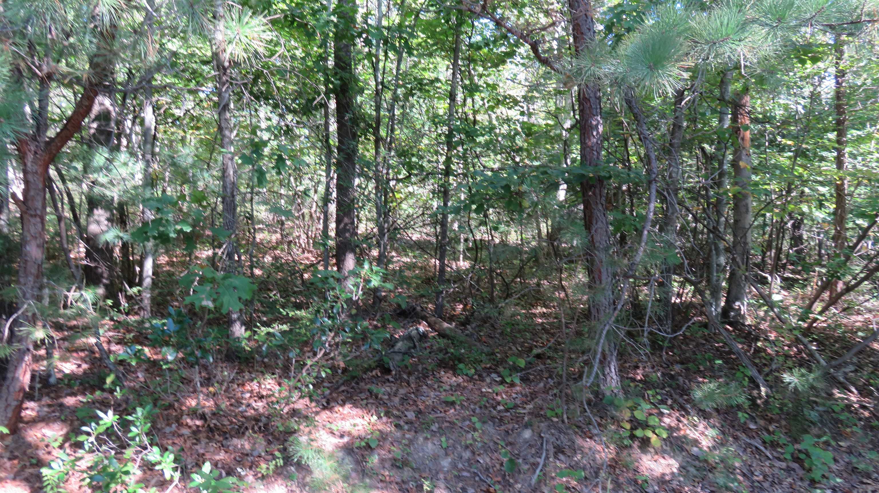 TBD BIRDS NEST RD, HINTON, Virginia 22831, ,Land,TBD Birds Nest Road Lot #30,TBD BIRDS NEST RD,682425 MLS # 682425 TBD BIRDS NEST RD, HINTON, Virginia 22831, ,Land,TBD Birds Nest Road Lot #30,TBD BIRDS NEST RD,682425 MLS # 682425