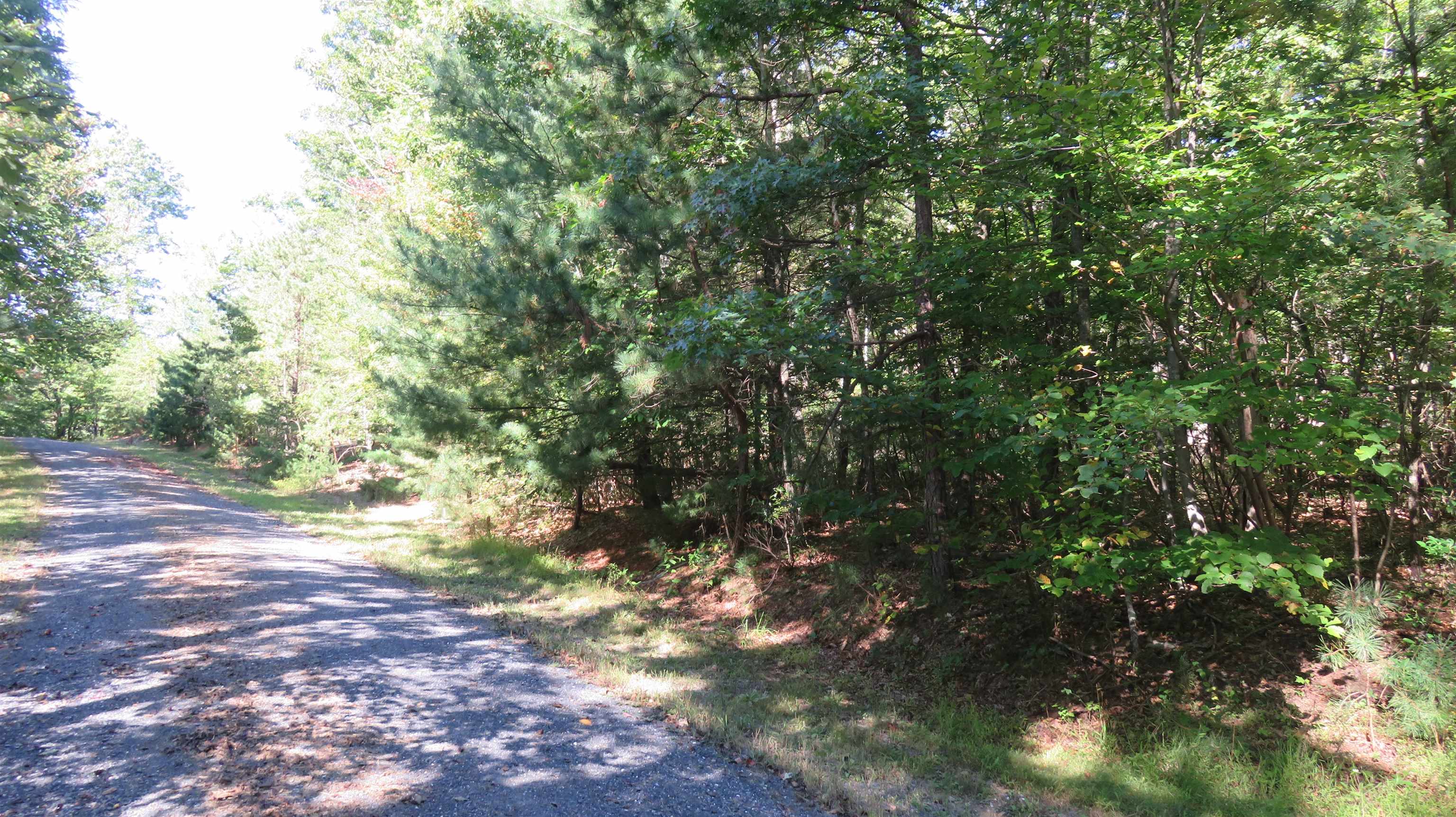 TBD BIRDS NEST RD, HINTON, Virginia 22831, ,Land,TBD Birds Nest Road Lot #30,TBD BIRDS NEST RD,682425 MLS # 682425 TBD BIRDS NEST RD, HINTON, Virginia 22831, ,Land,TBD Birds Nest Road Lot #30,TBD BIRDS NEST RD,682425 MLS # 682425