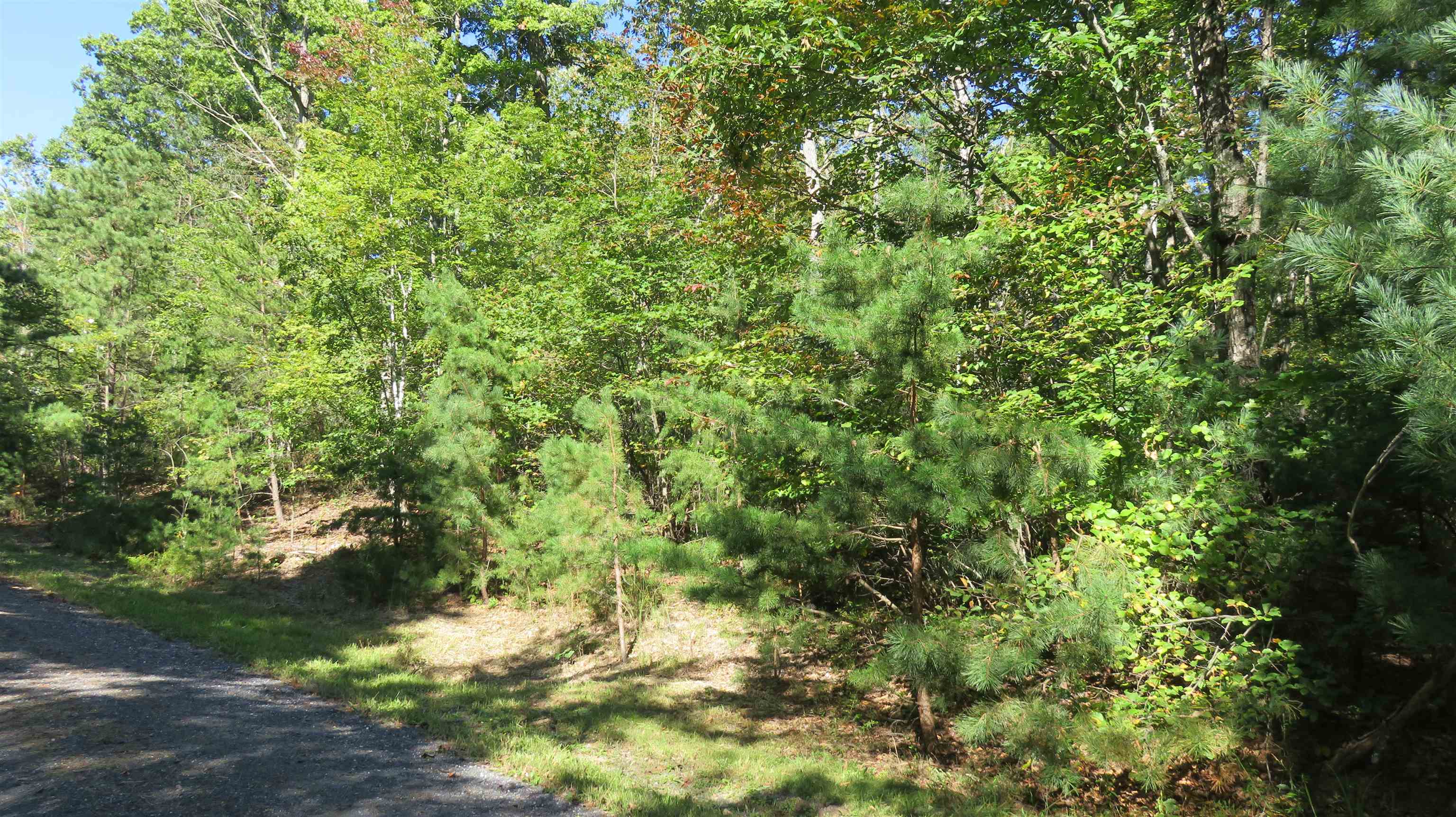 TBD BIRDS NEST RD, HINTON, Virginia 22831, ,Land,TBD Birds Nest Road Lot #30,TBD BIRDS NEST RD,682425 MLS # 682425 TBD BIRDS NEST RD, HINTON, Virginia 22831, ,Land,TBD Birds Nest Road Lot #30,TBD BIRDS NEST RD,682425 MLS # 682425