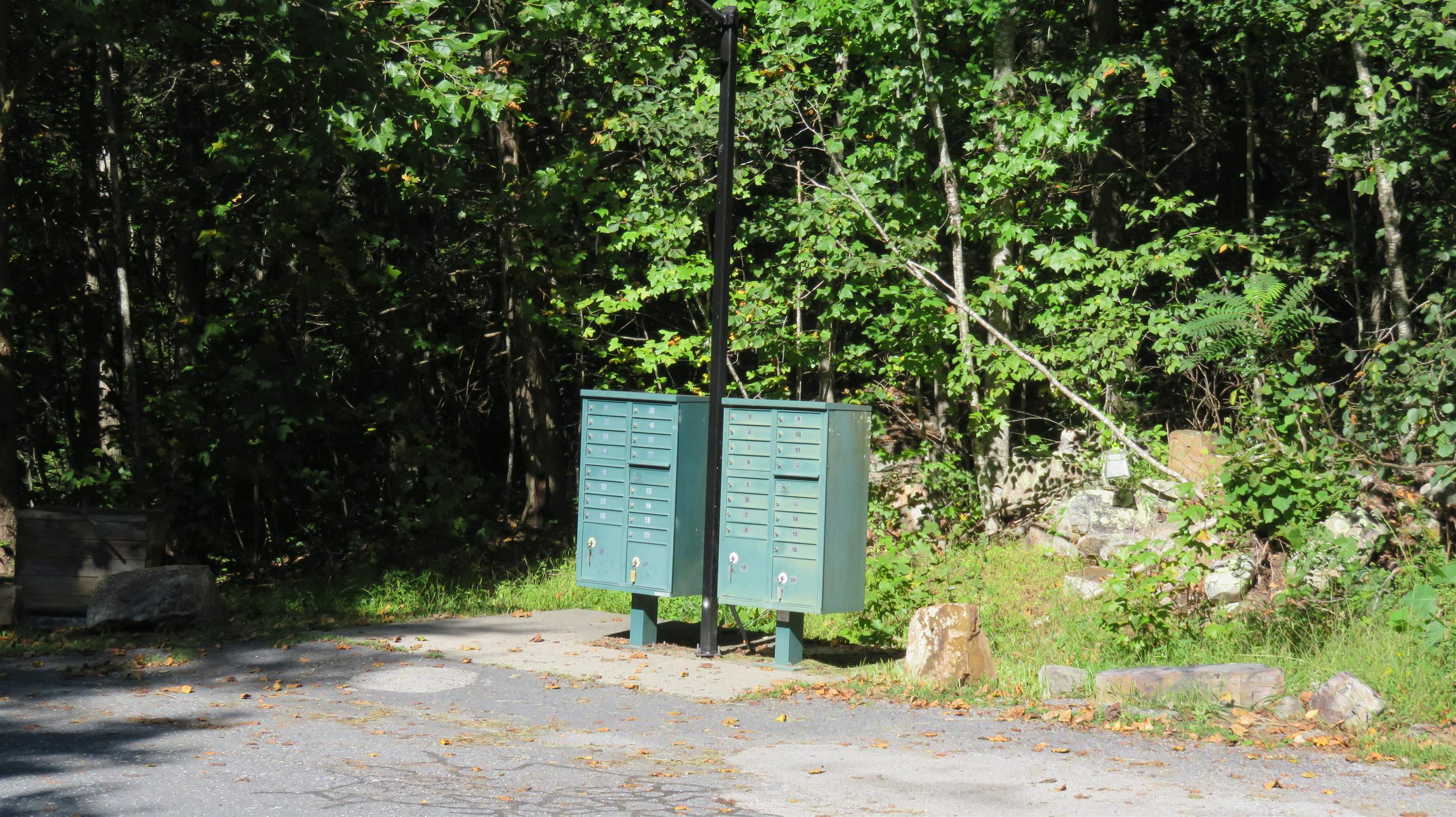 TBD BIRDS NEST RD, HINTON, Virginia 22831, ,Land,TBD Birds Nest Road Lot #30,TBD BIRDS NEST RD,682425 MLS # 682425 TBD BIRDS NEST RD, HINTON, Virginia 22831, ,Land,TBD Birds Nest Road Lot #30,TBD BIRDS NEST RD,682425 MLS # 682425