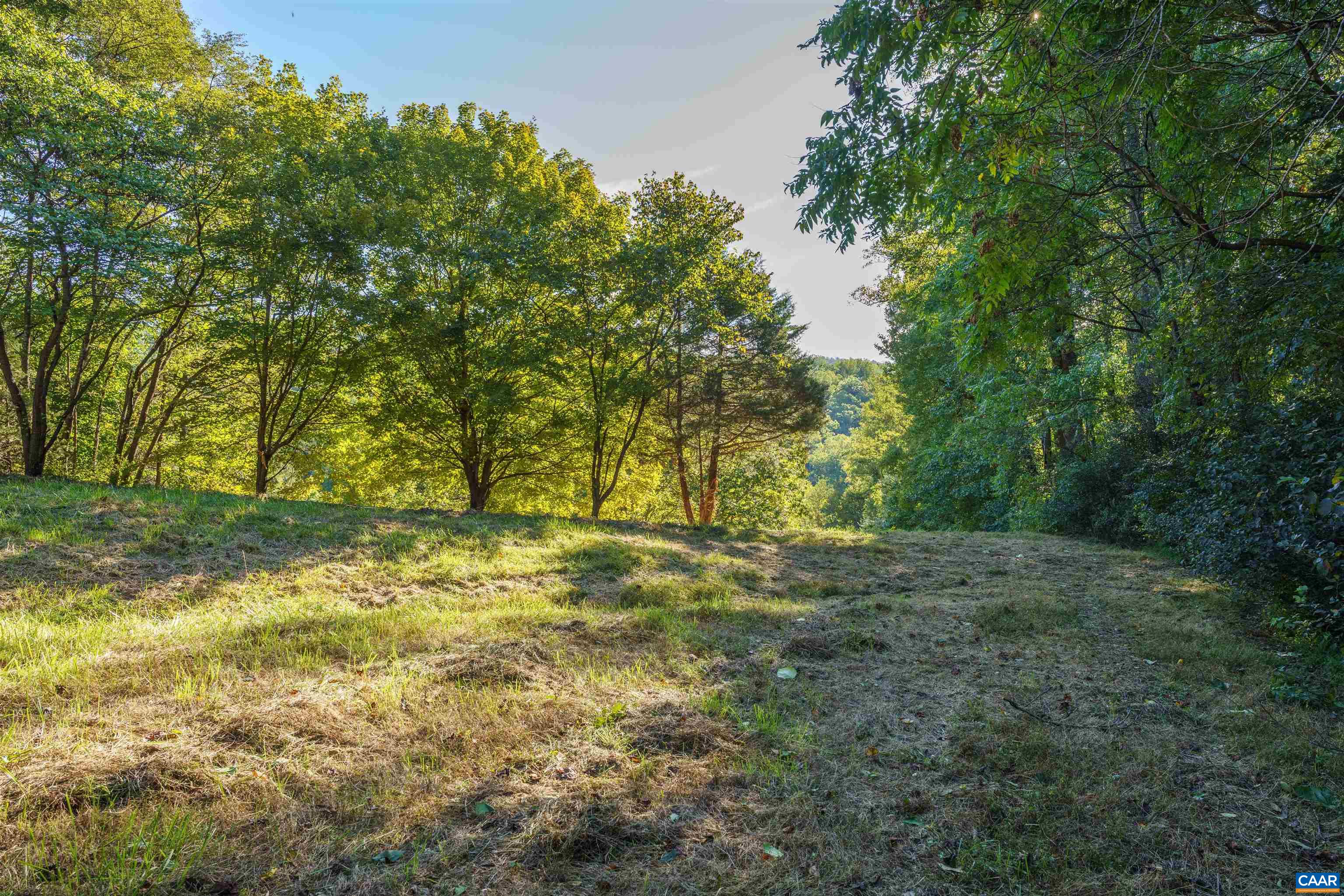 14627 PATRICK HENRY HWY, ROSELAND, Virginia 22967, ,Land,14627 PATRICK HENRY HWY,682440 MLS # 682440 14627 PATRICK HENRY HWY, ROSELAND, Virginia 22967, ,Land,14627 PATRICK HENRY HWY,682440 MLS # 682440